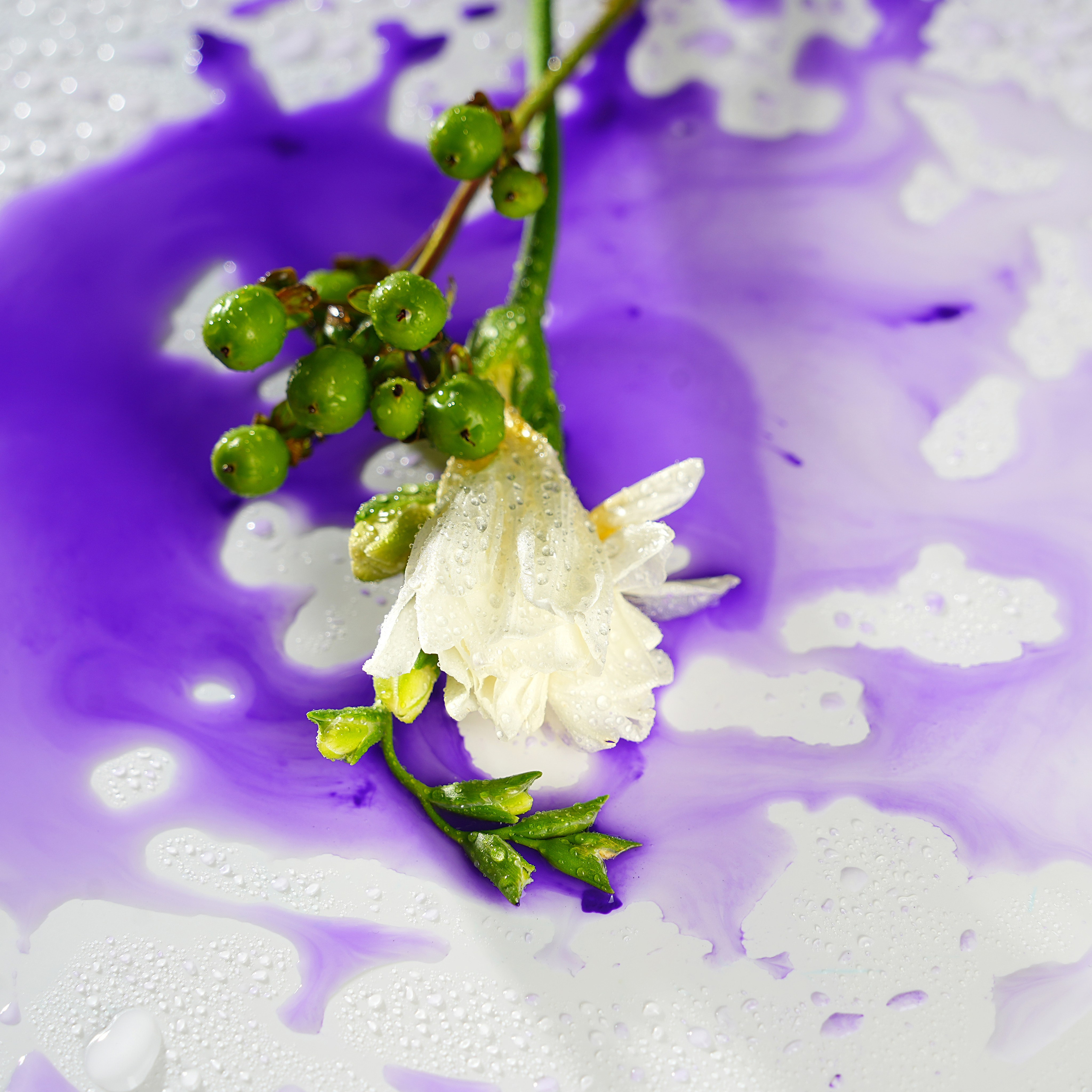 Предметная фотосъёмка. Фотограф, видеооператор Нина Коршунова