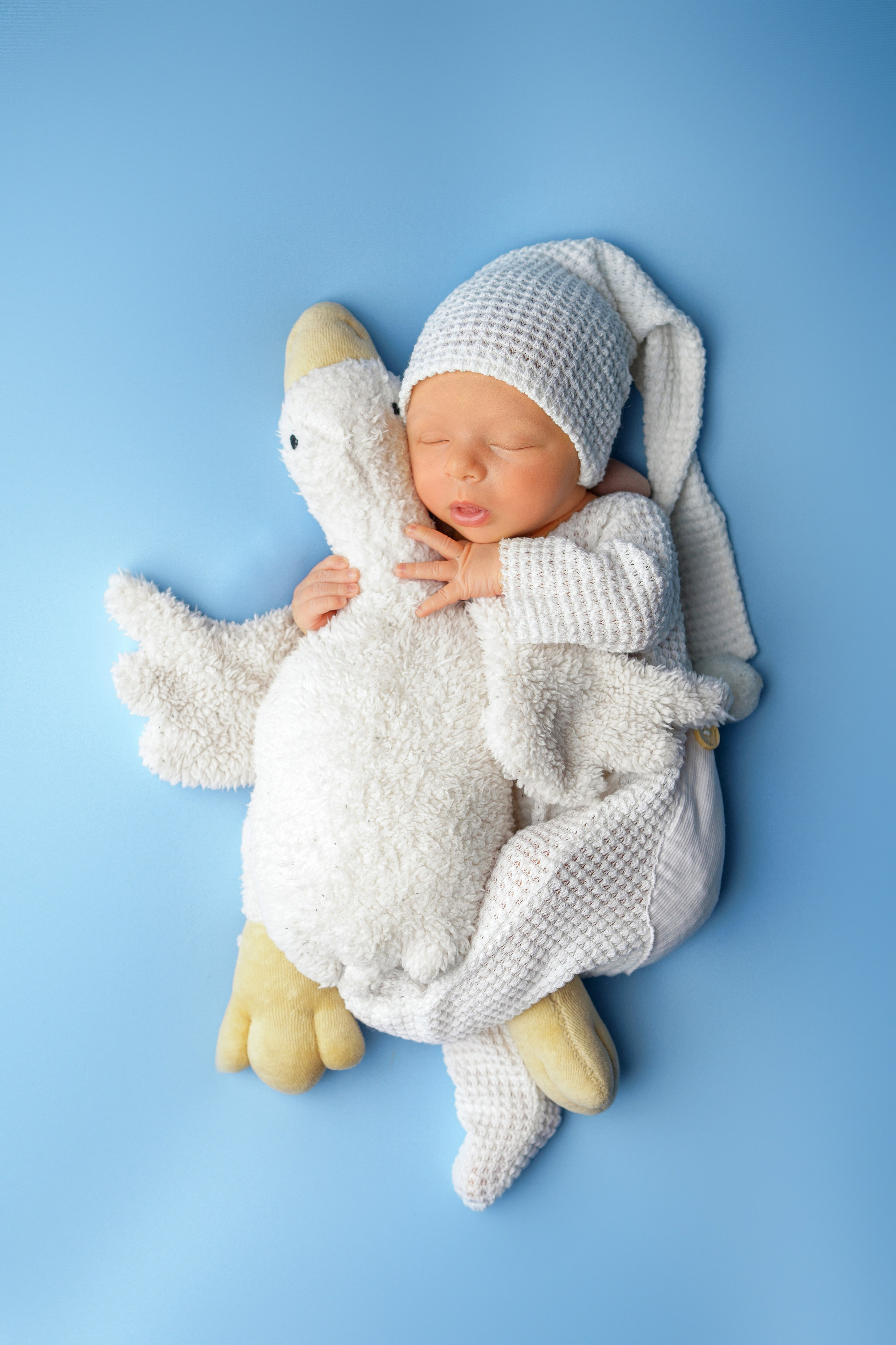 Фотосессия новорожденных. Фотограф новорождённых в Рязани и Сасово Регина Ломова