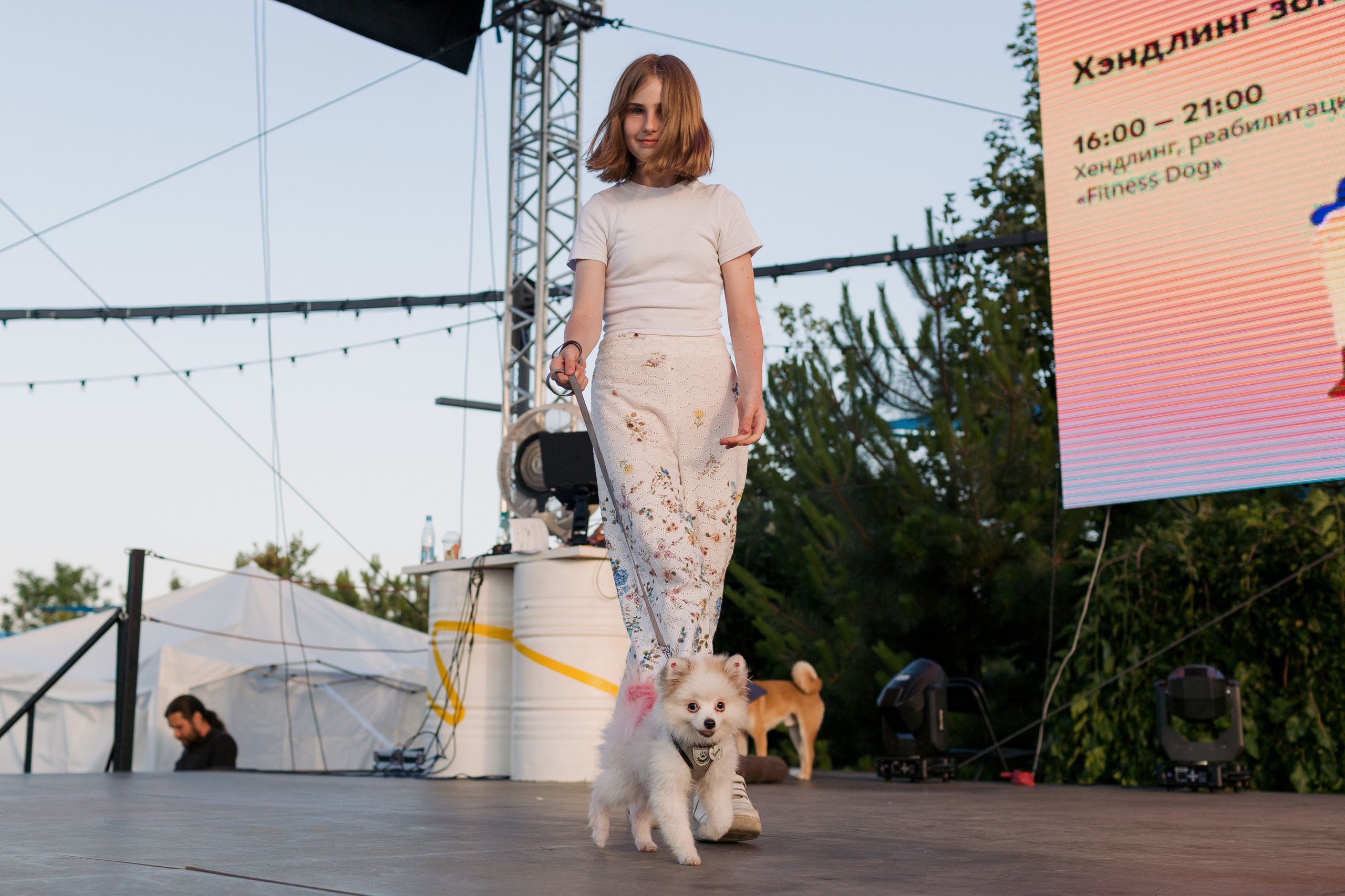 Dog Fest 2024. Главная