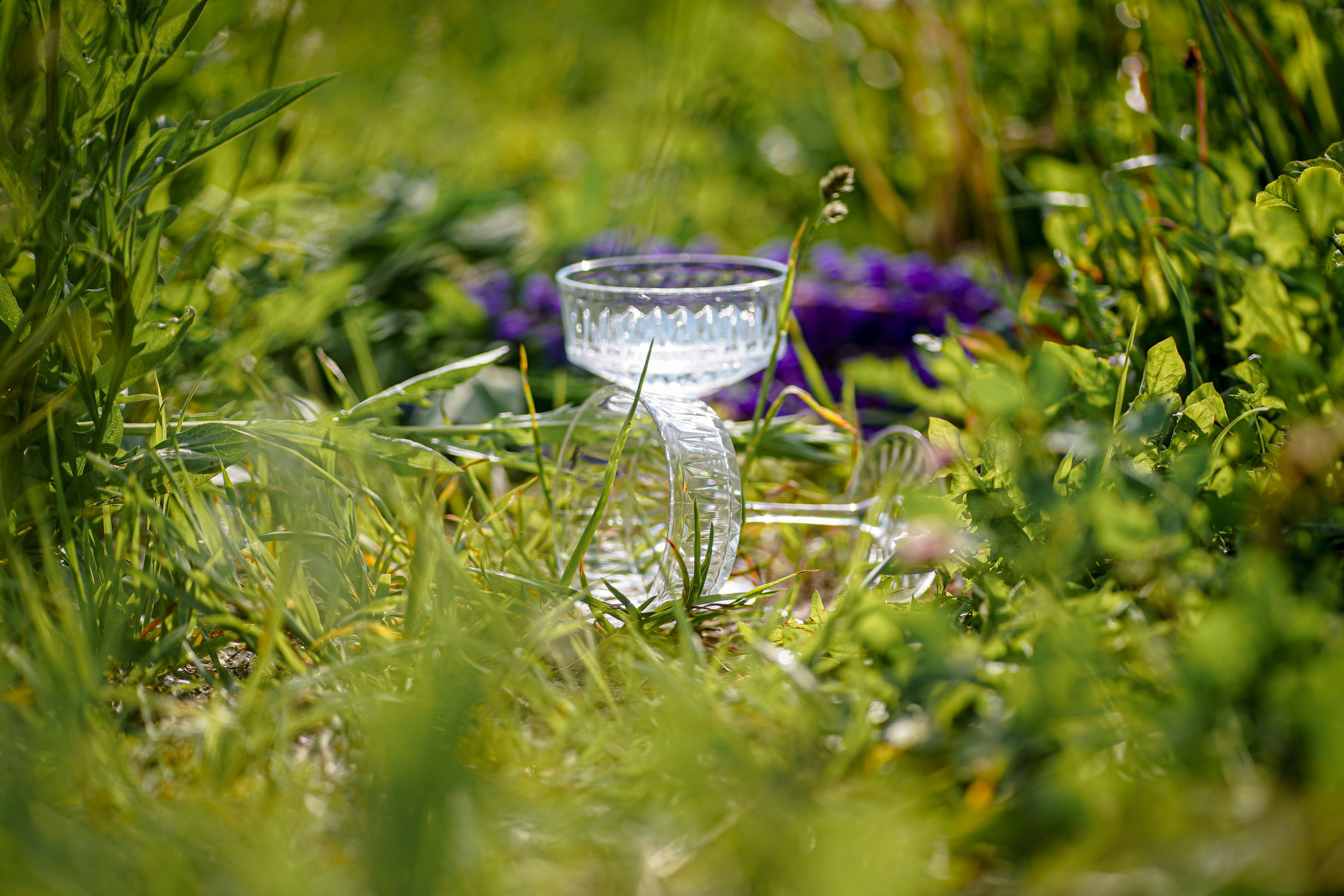 Ира. Семейный и детский фотограф в Москве (Тинао) Галкина Алевтина