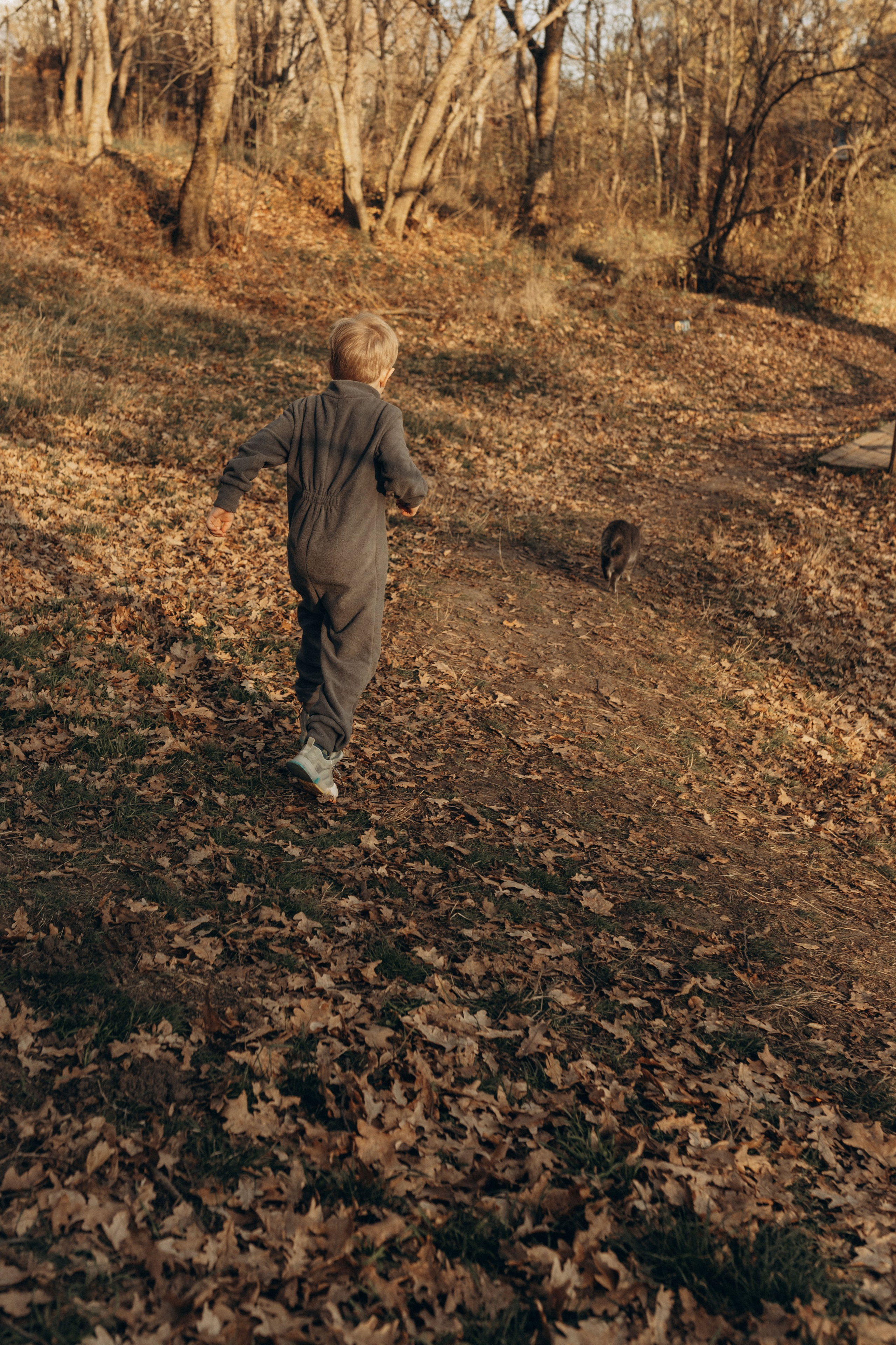 Семейная осенняя фотосессия. Фотограф в Ставрополе Svetlana Matveeva
