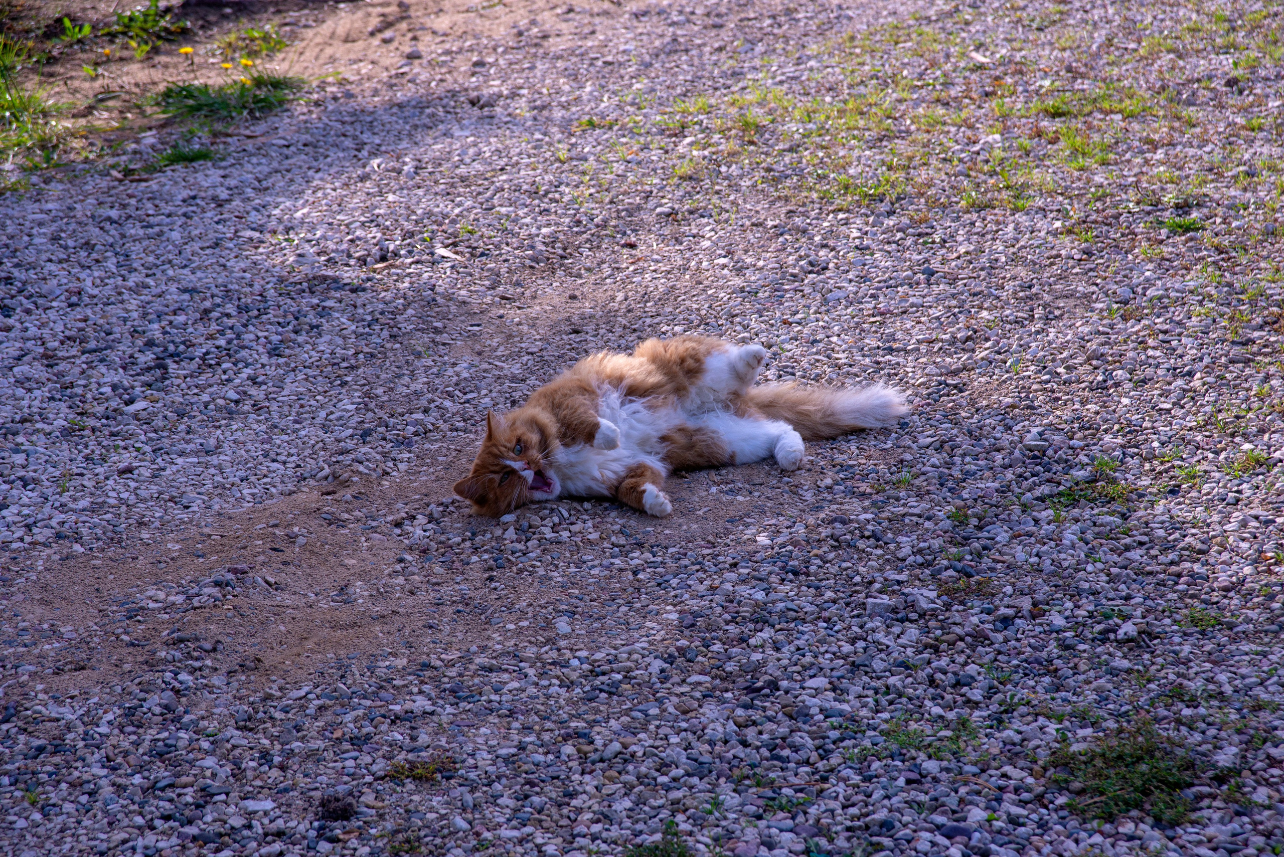 Суздаль. 20 сентября 2025. Игорь Жучков. Россия увиденная глазами путешествующего фотографа