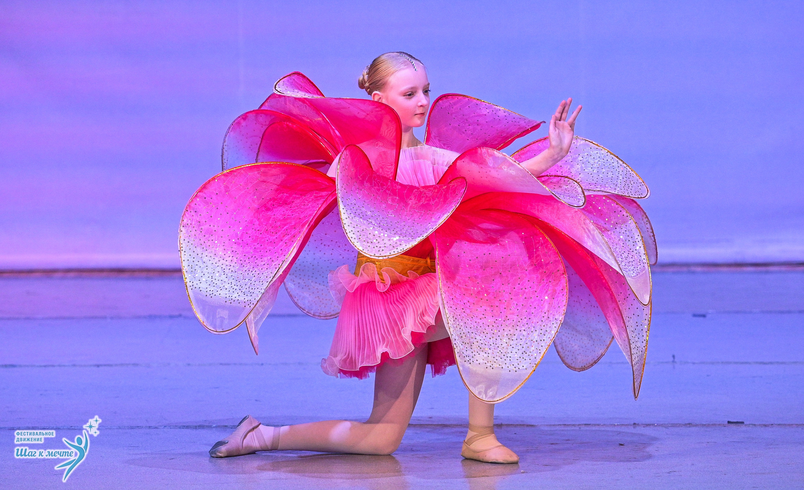 29.11.2025 Фестивальное движение «Шаг к мечте» г. Петрозаводск. Медиастудия Фото Концепт