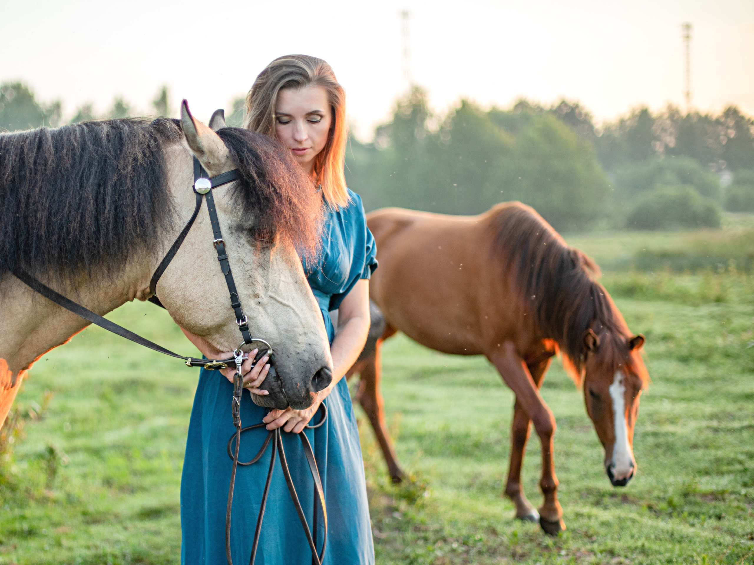 Выйти в лето в поле с конем. Видеограф и фотограф в Москве Анастасия Рябчикова
