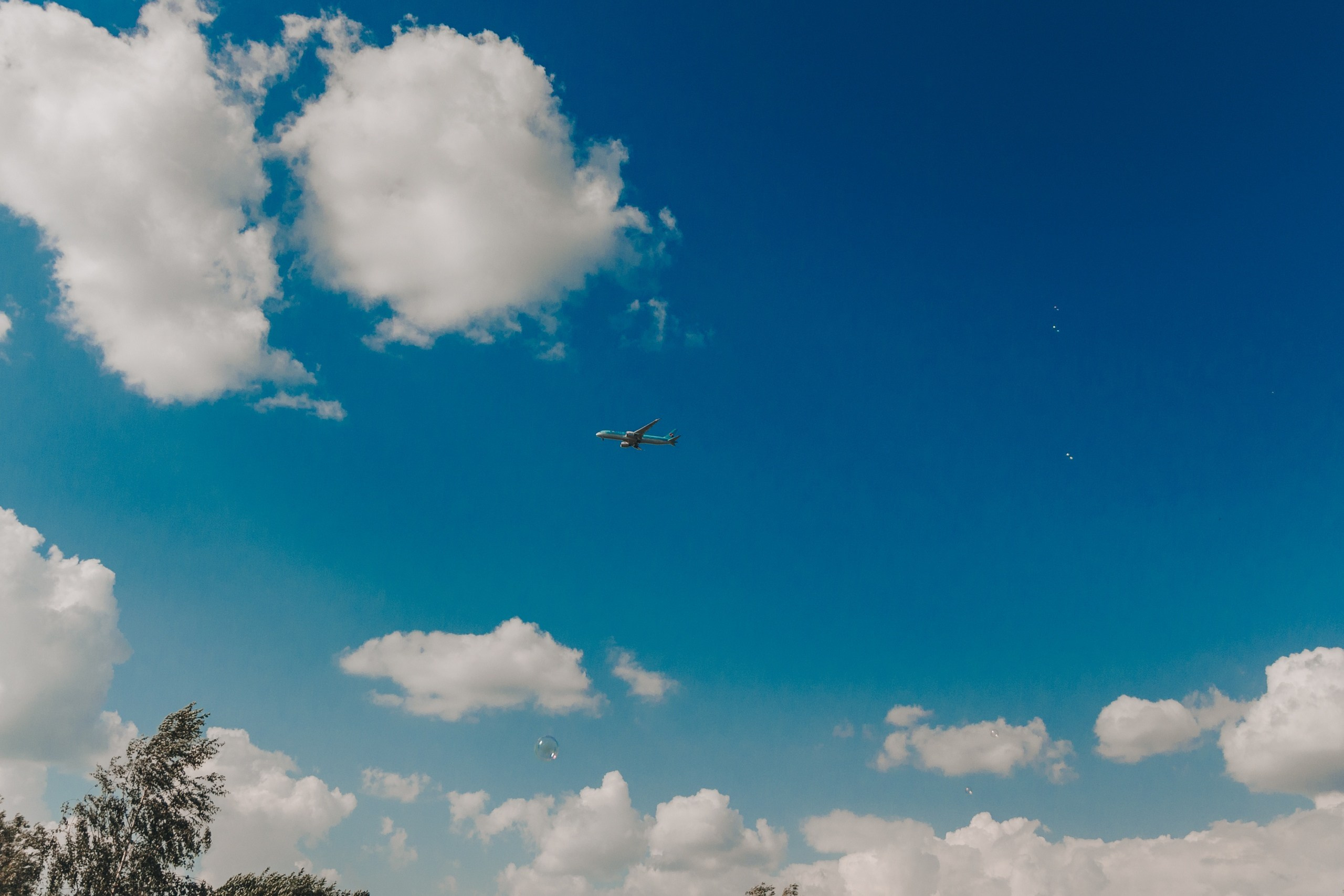 Пляжные шашлыки | 27.06.20. Галерея Фантим