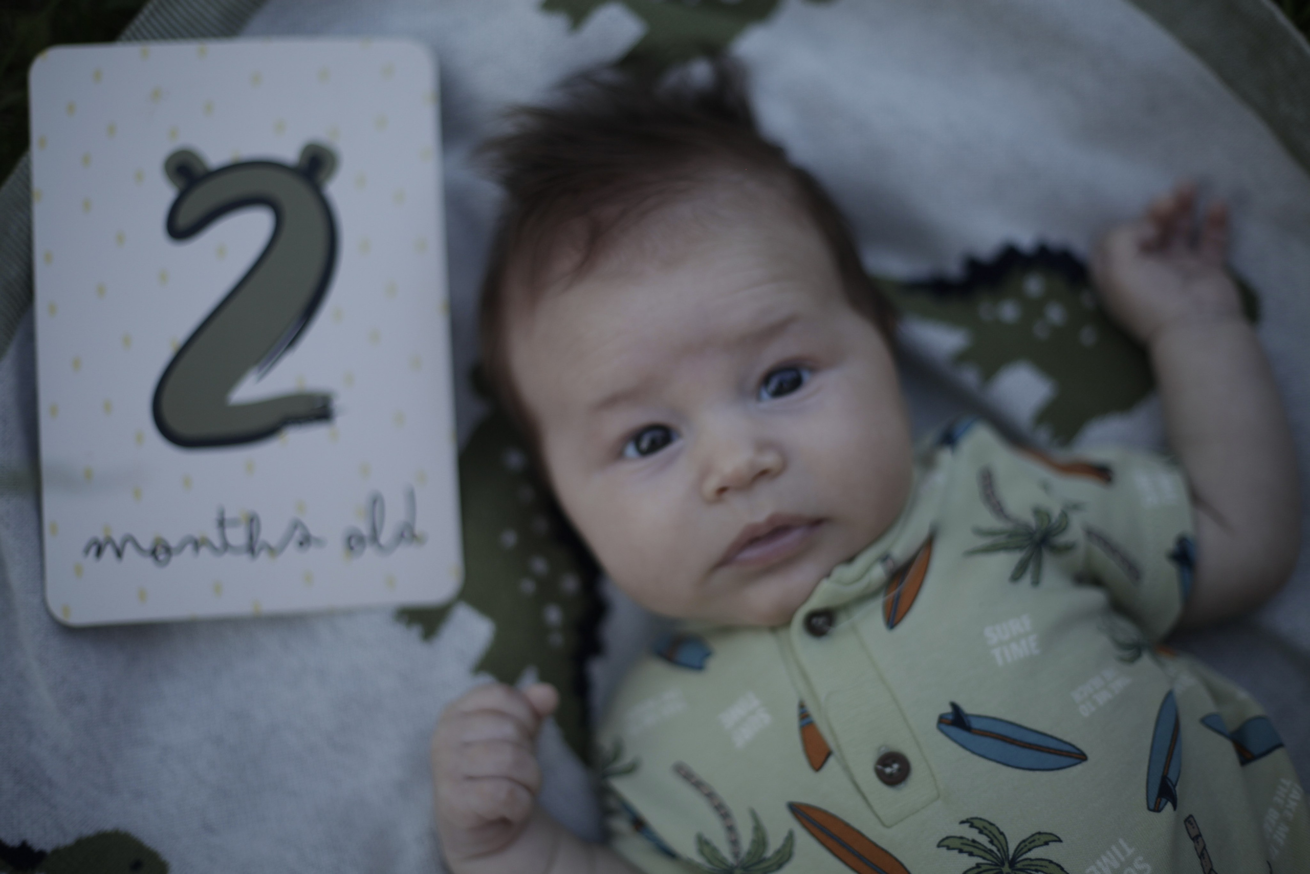 Детские съемки. Семейный фотограф Москва