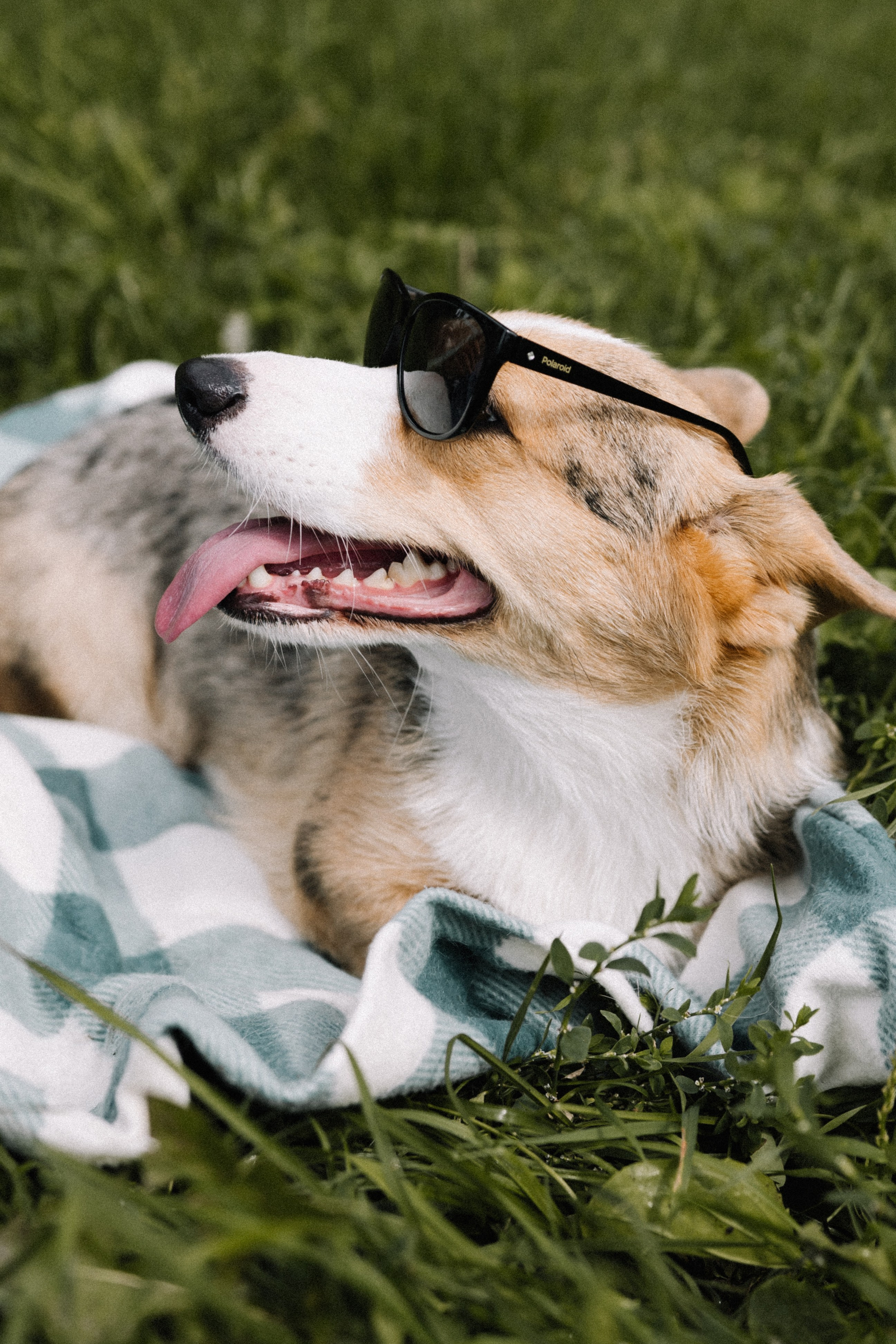 Алина и Тома. Фотограф в Кирове и Кирово-Чепецке Валерия Шиляева