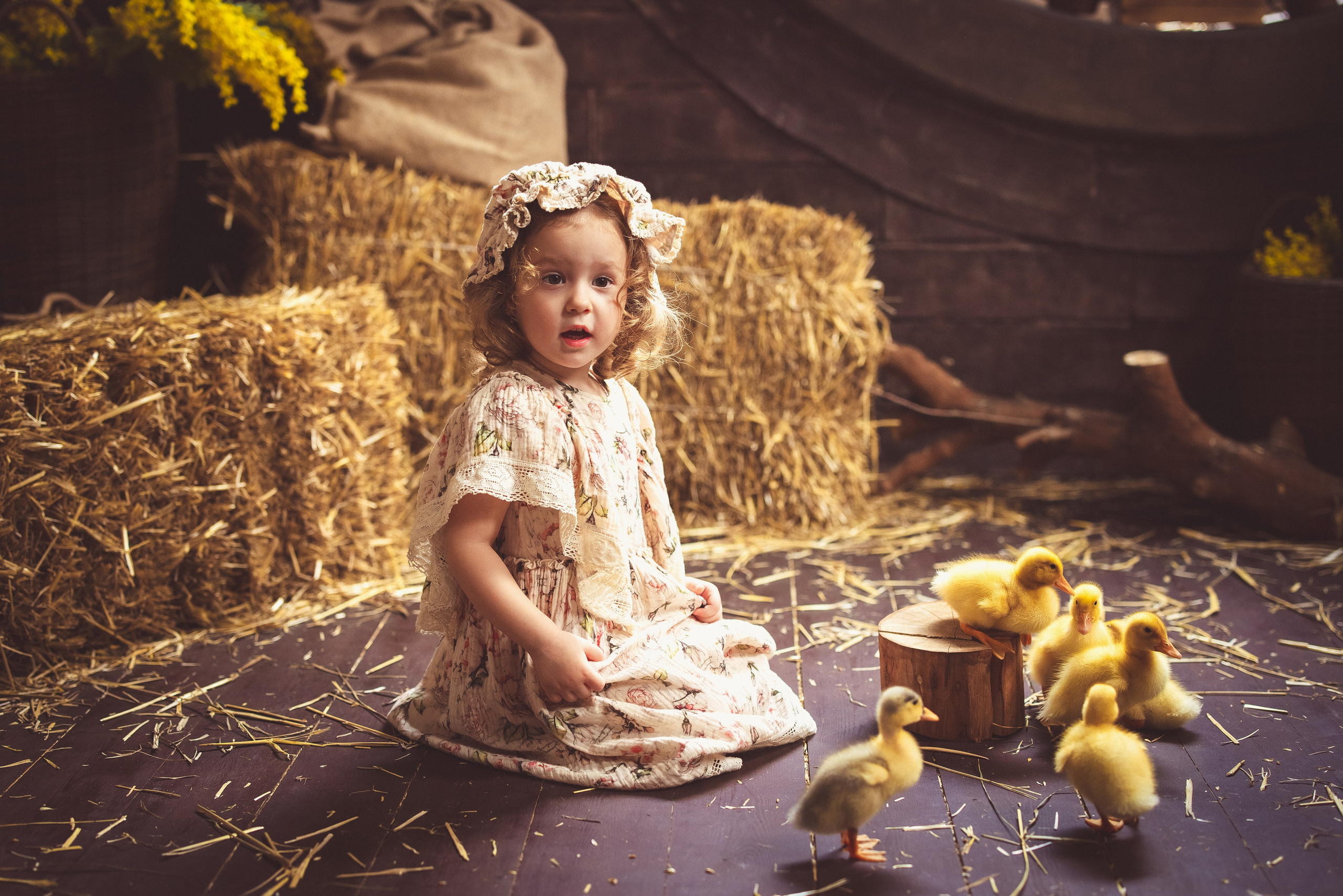 Пасхальный фотопроект с козочкой и утятами, в фотостудии «Эль» 2024 г. Семейный и детский фотограф в Краснодаре Анна Трашкова