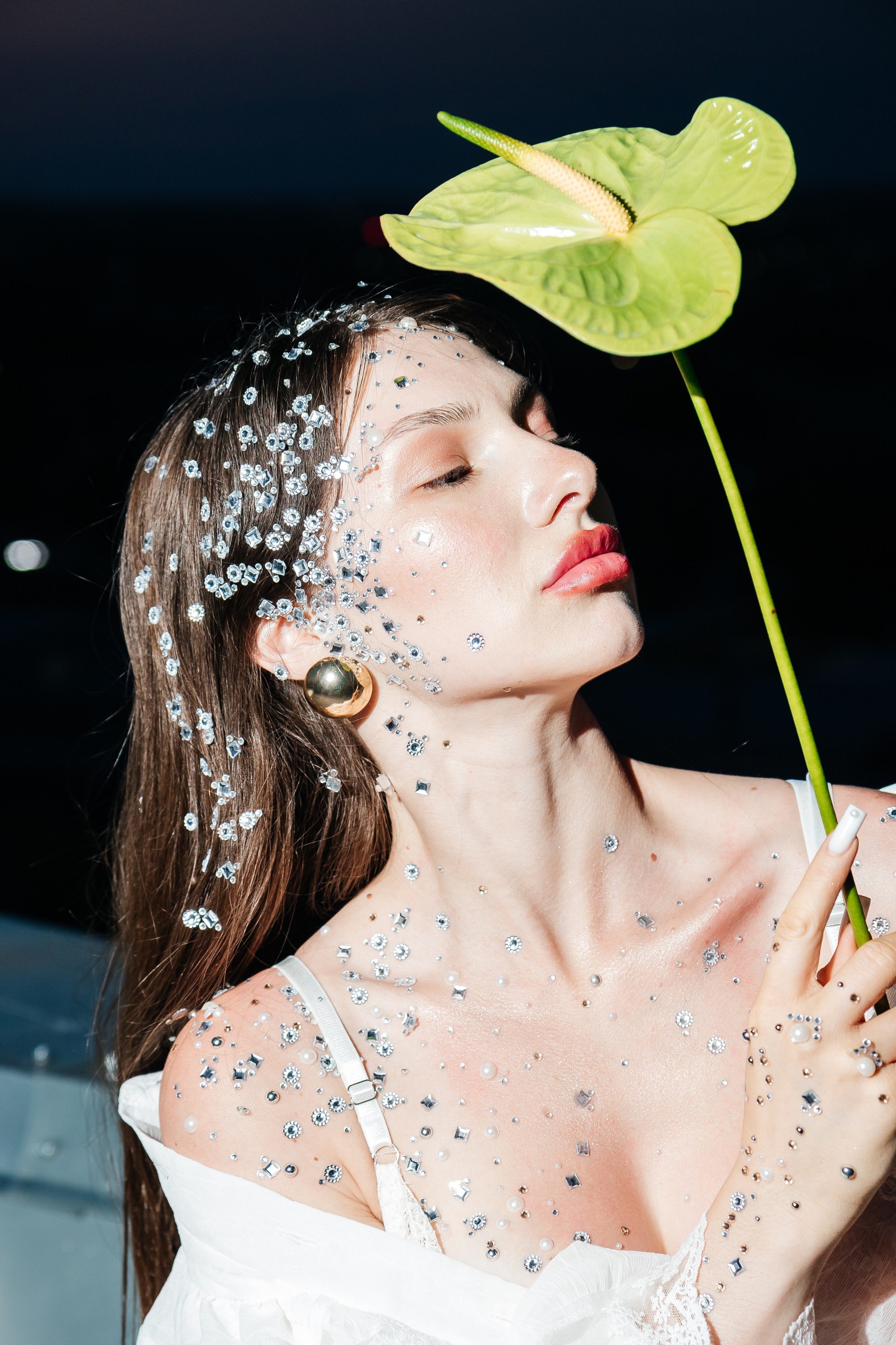 ROOF. Фотограф Александр Бигари