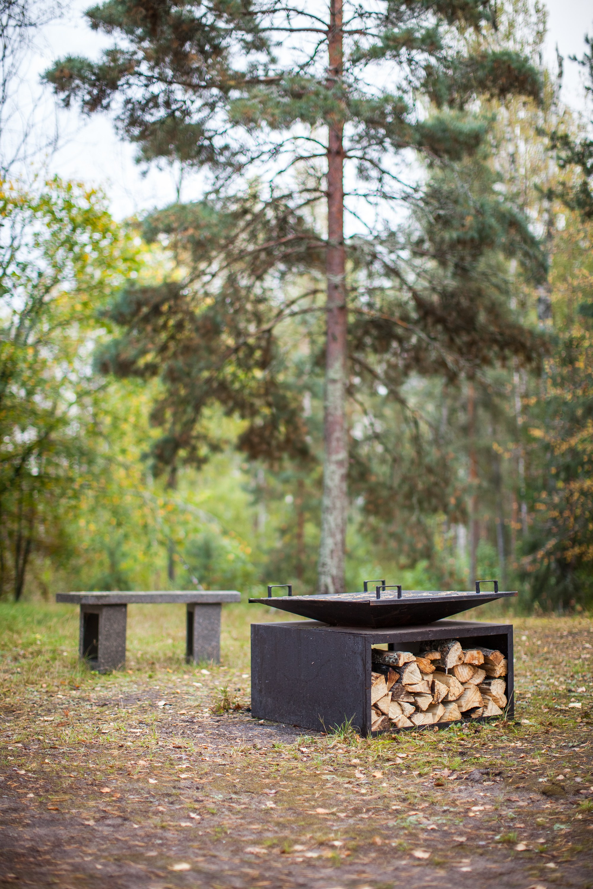 Остров «Свободы». Туманов Виталий — фотограф Москва