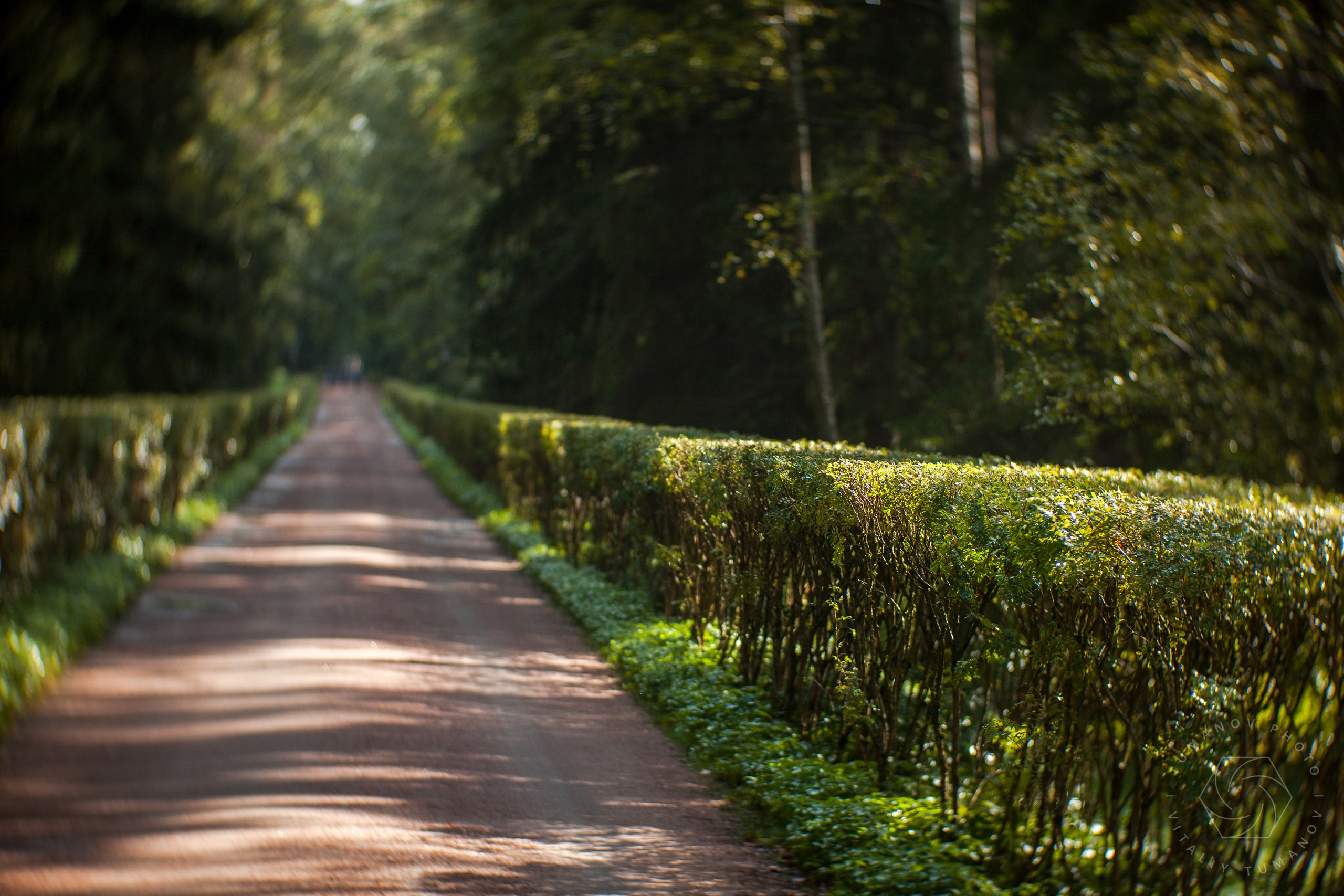 Ландшафтная фотография. Виталий Туманов — Ландшафтный фотограф