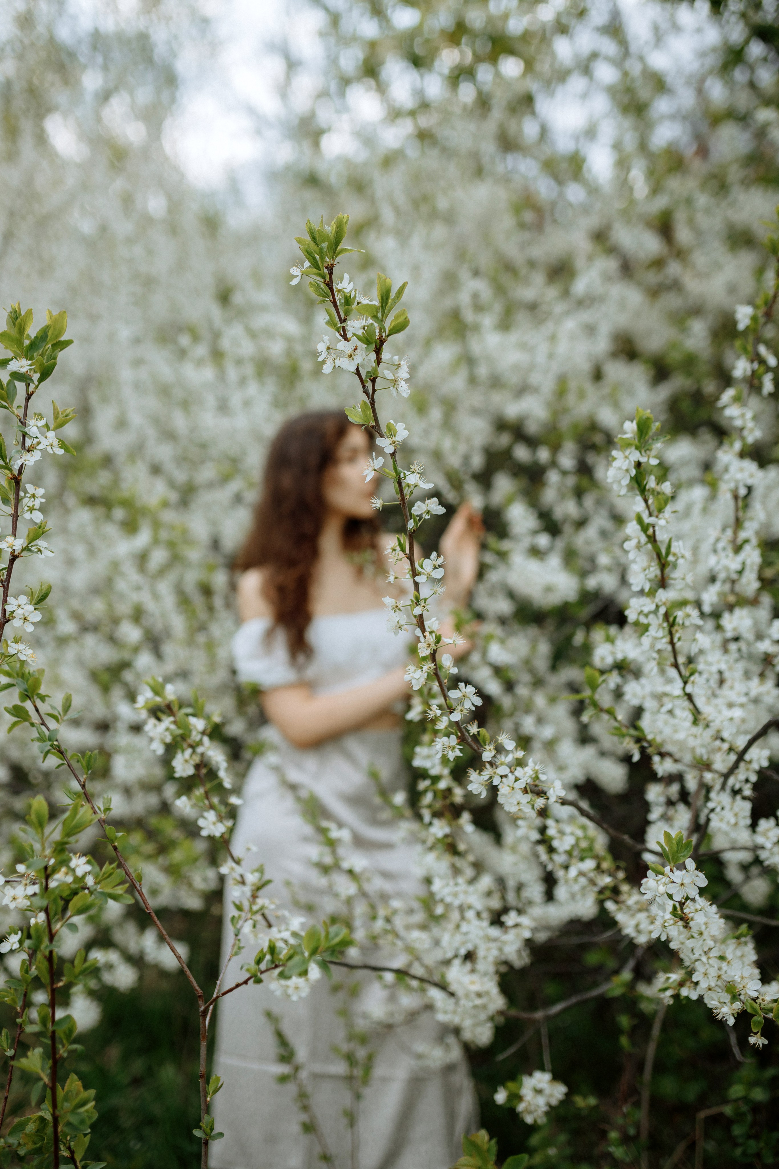 Диана. Детский и семейный фотограф г. Чебоксары Оля Горбунова