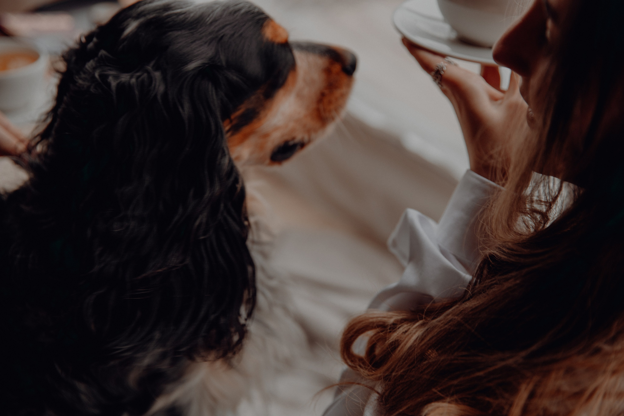 Ася ღ Заур. Портфолио