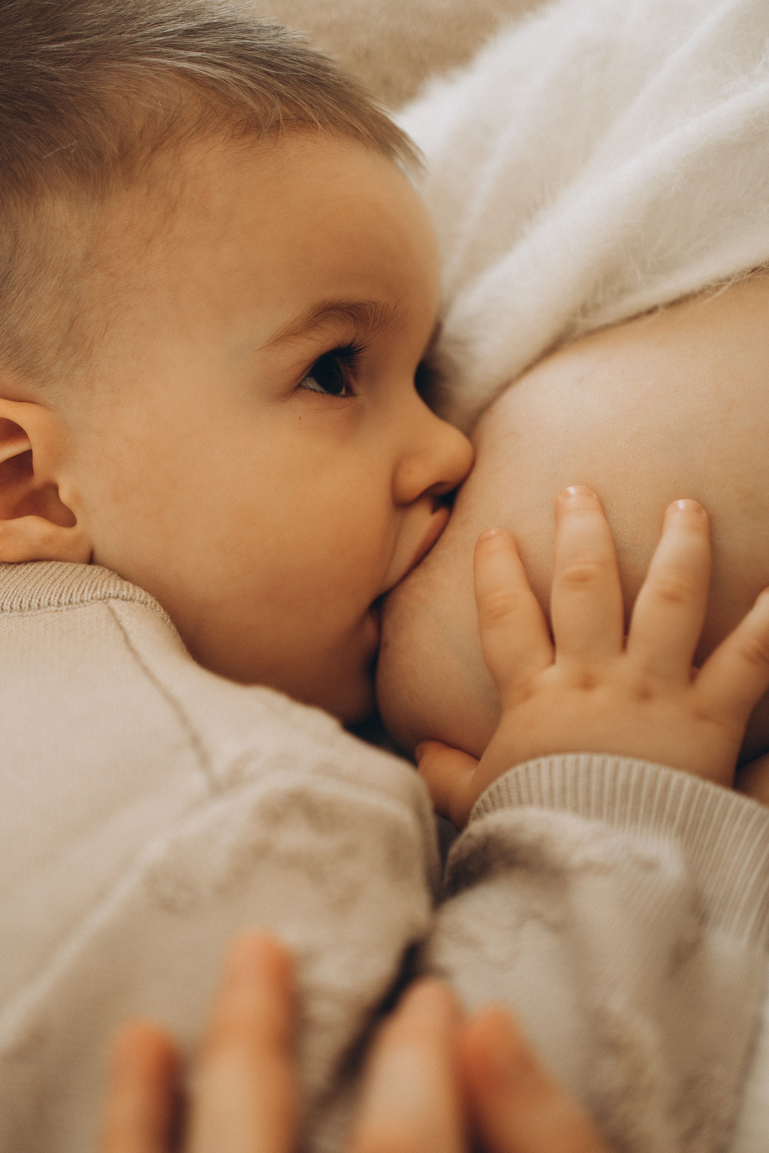 Семейная история 2 годика. Семейный и детский фотограф, таганрог, ростов-на-дону