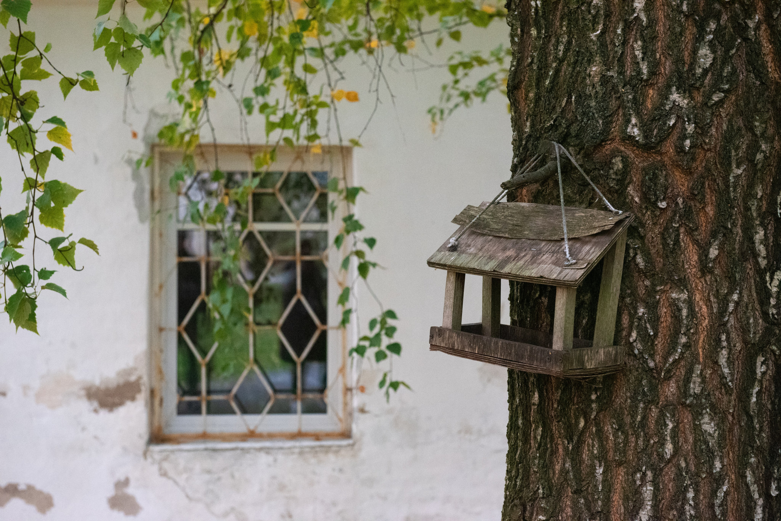Великий Новгород. Портретный и архитектурный фотограф в Москве и Санкт-Петербурге