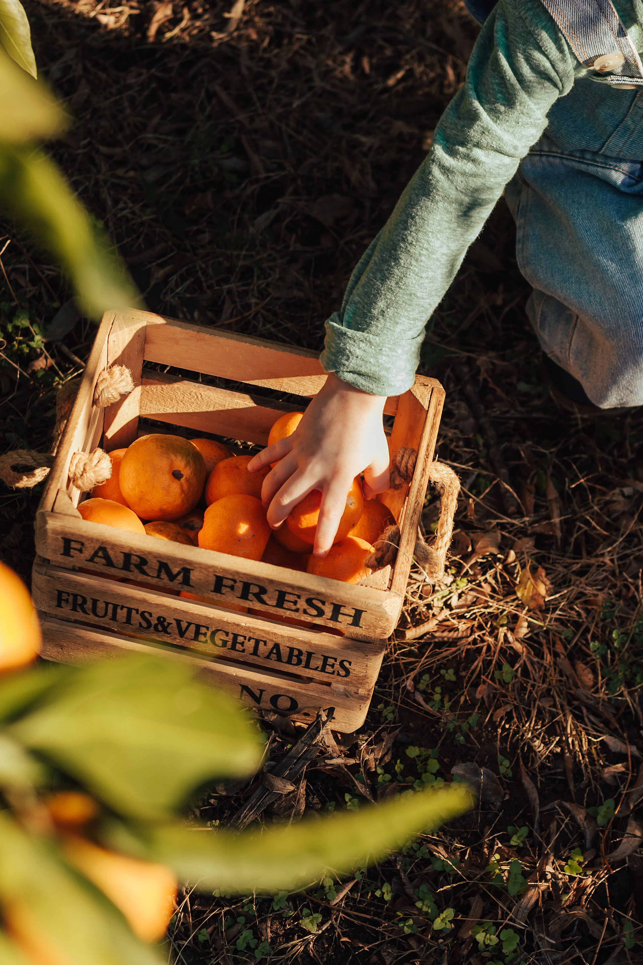 Матвей. Семейный и детский фотограф в Санкт-Петербурге
