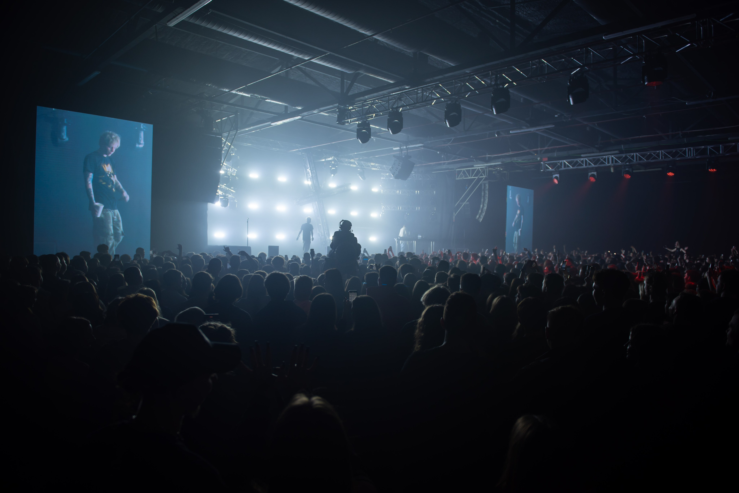 Pharaon. Royal Park. Фотограф в Калининграде Роман Большаков