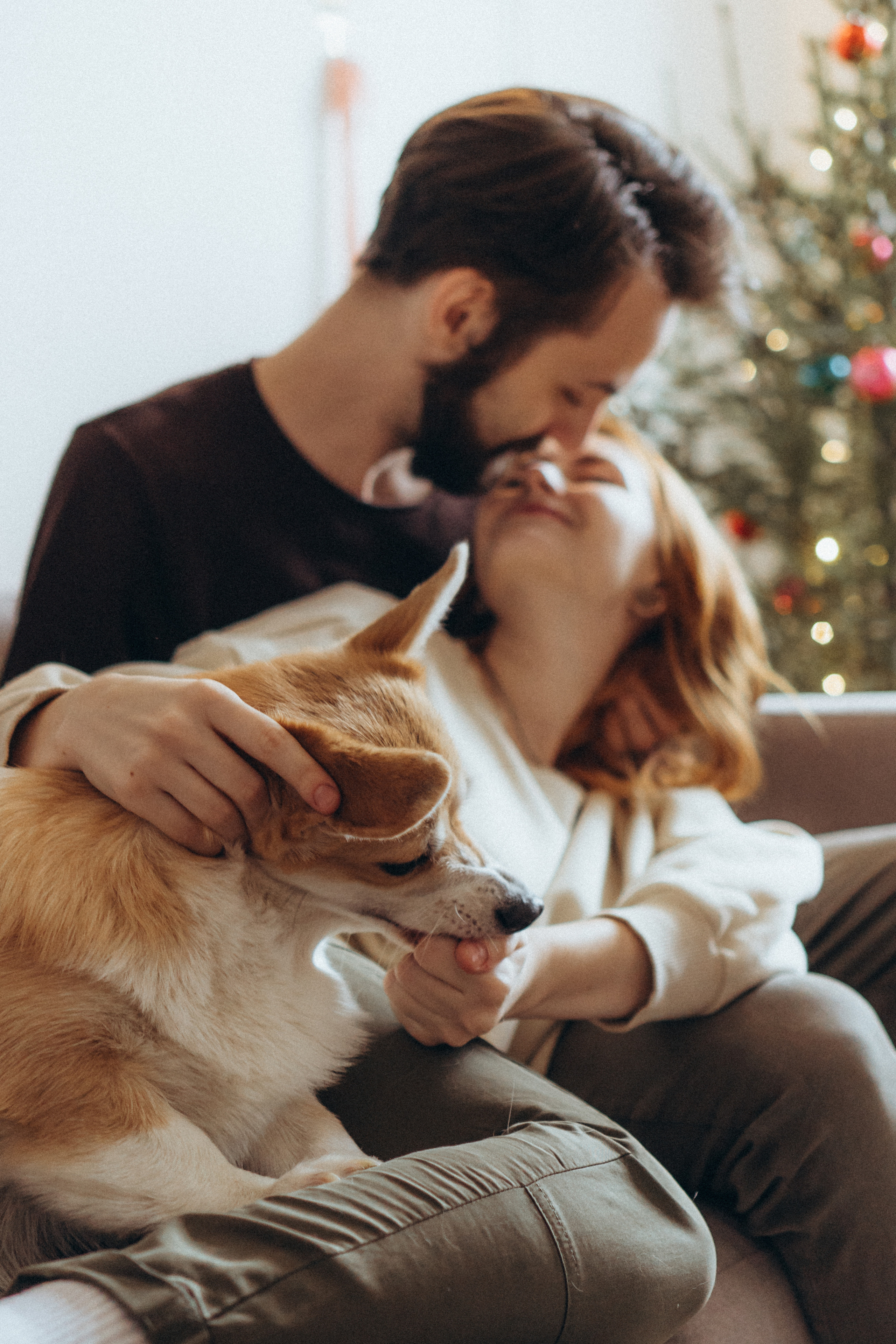 Любовь и корги…. Фотограф LIFE STYLE