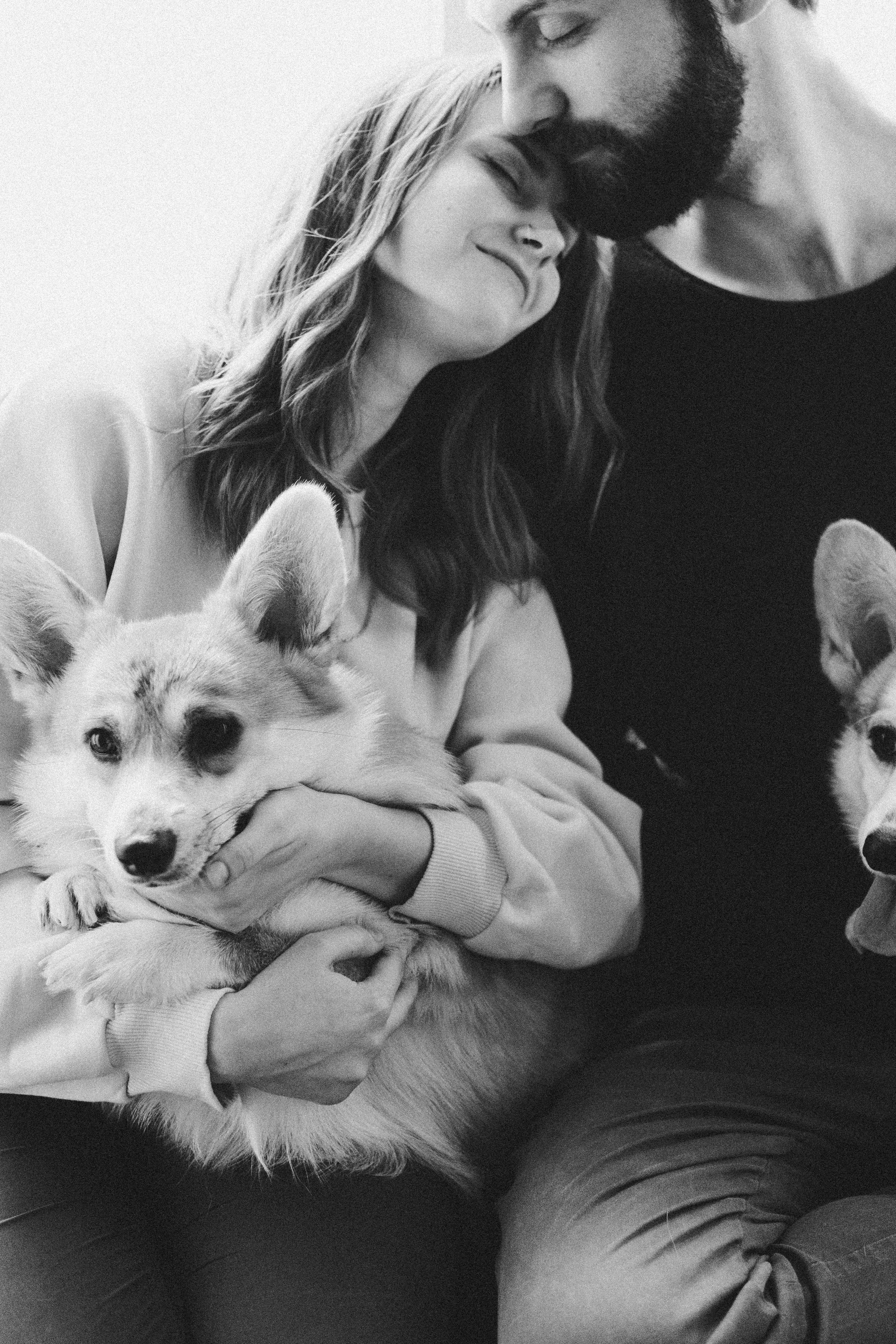 Любовь и корги…. Фотограф LIFE STYLE