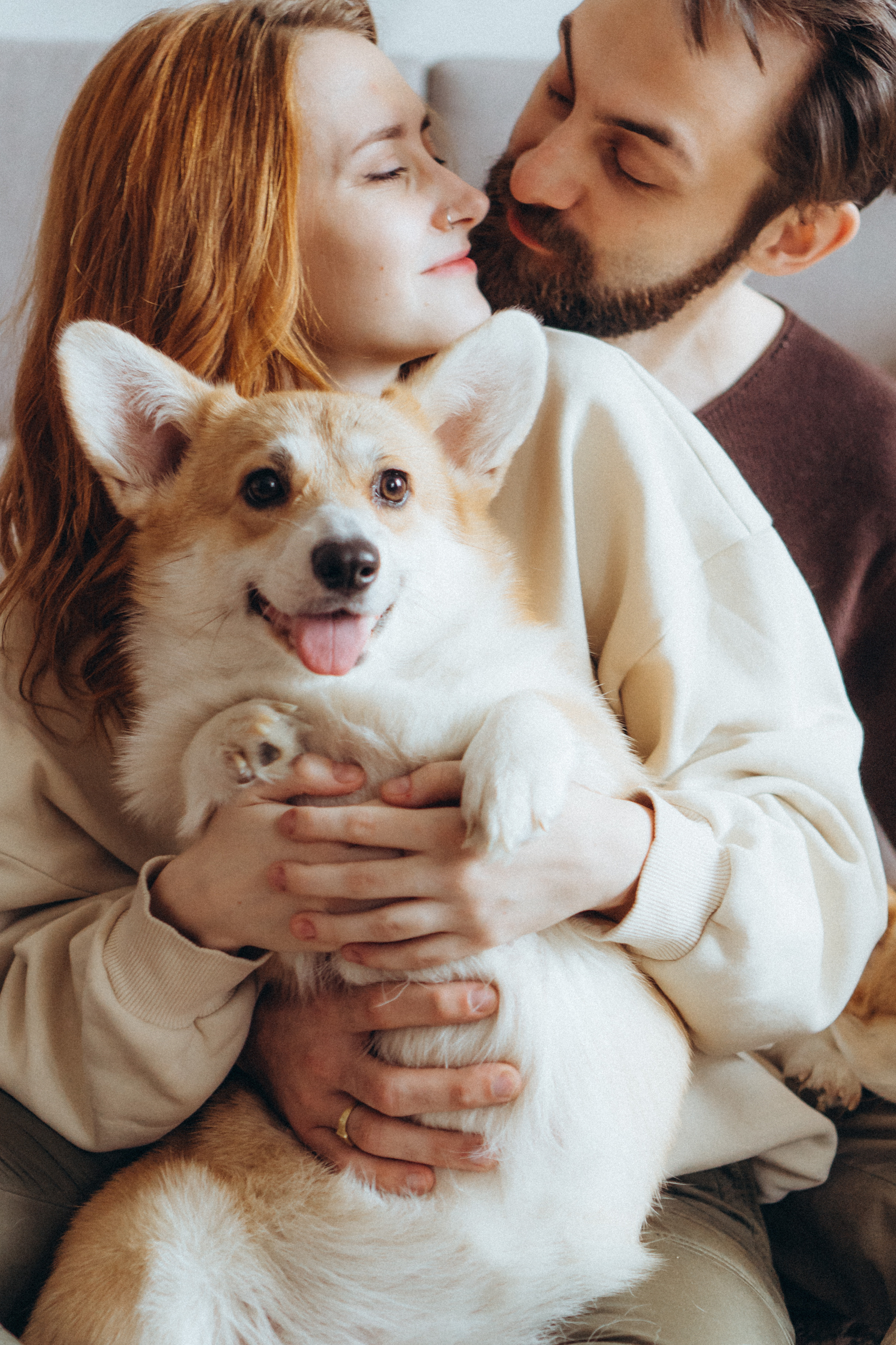 Любовь и корги…. Фотограф LIFE STYLE