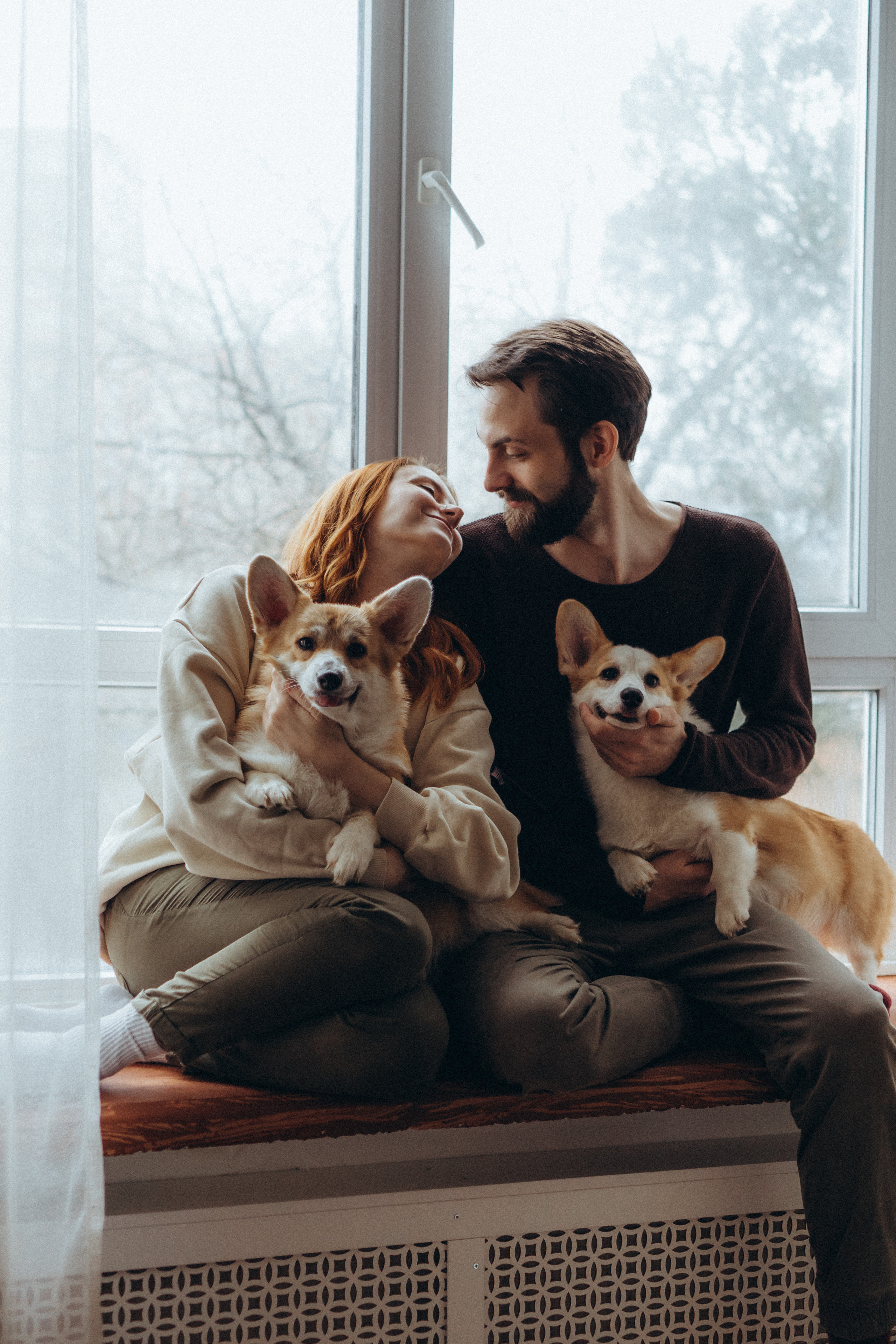 Любовь и корги…. Фотограф LIFE STYLE