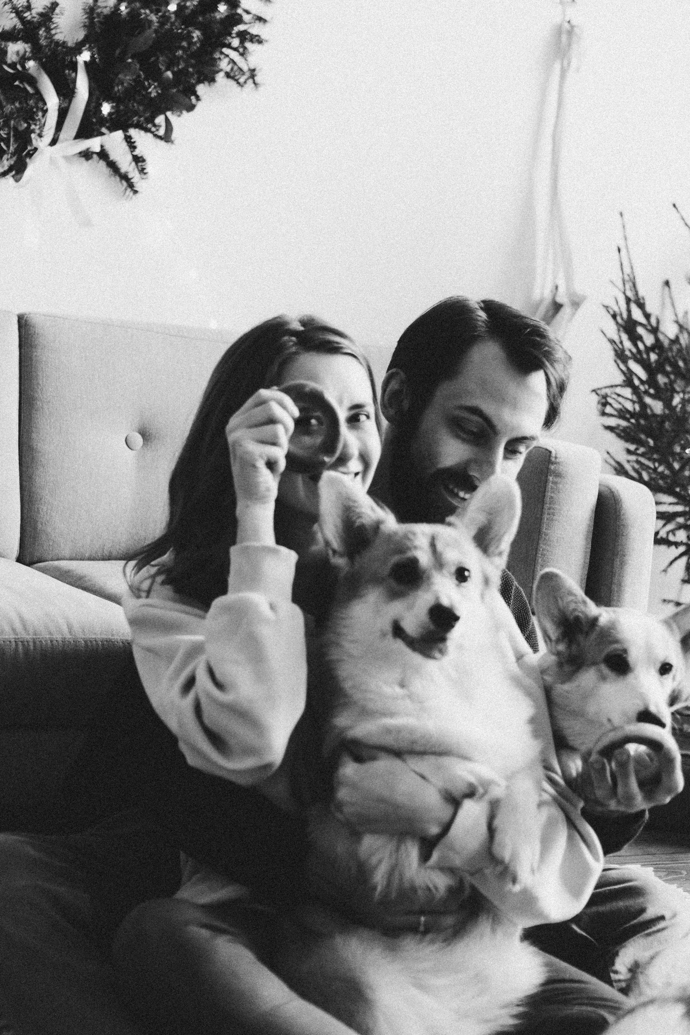 Любовь и корги…. Фотограф LIFE STYLE