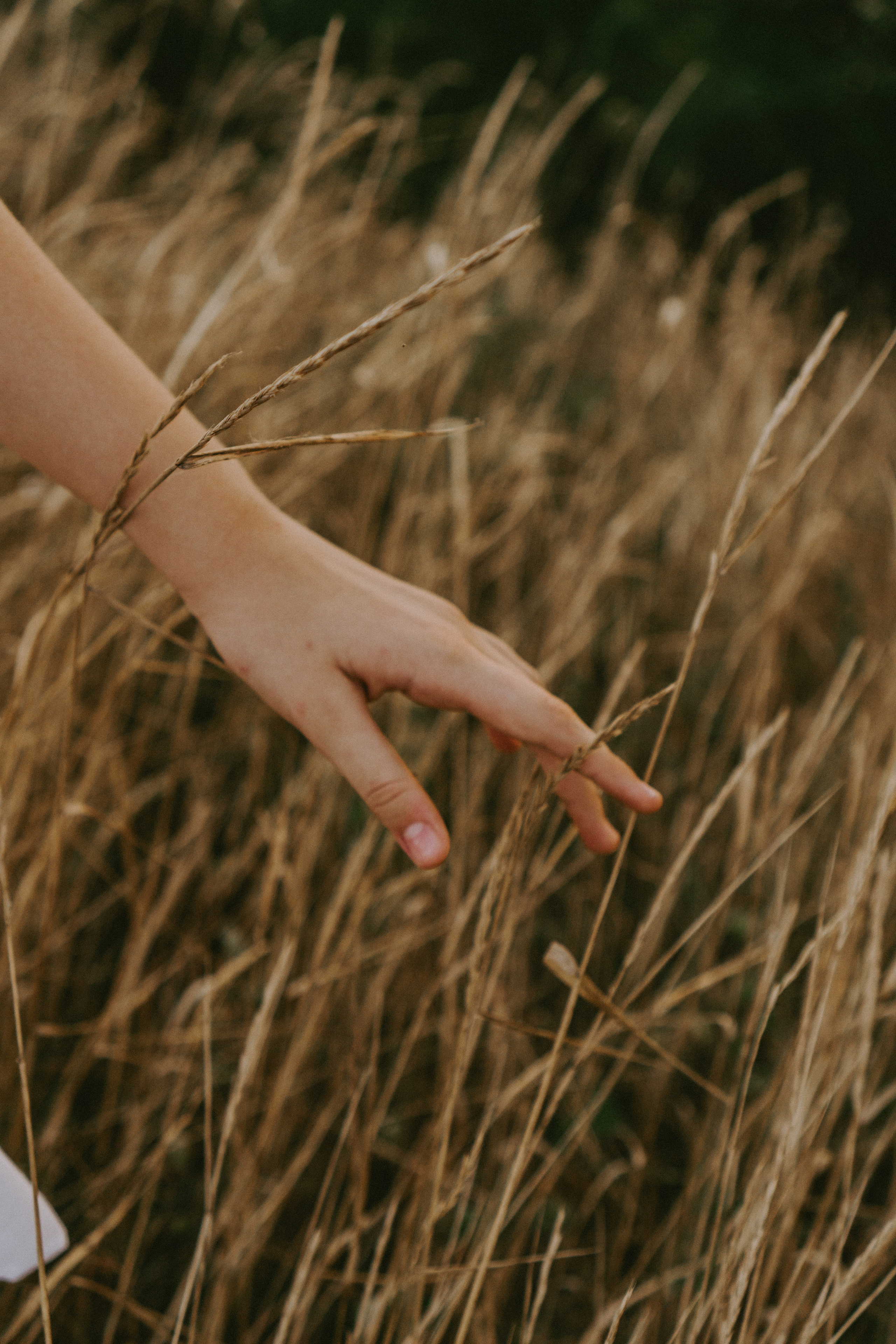 Летний день…. Фотограф LIFE STYLE