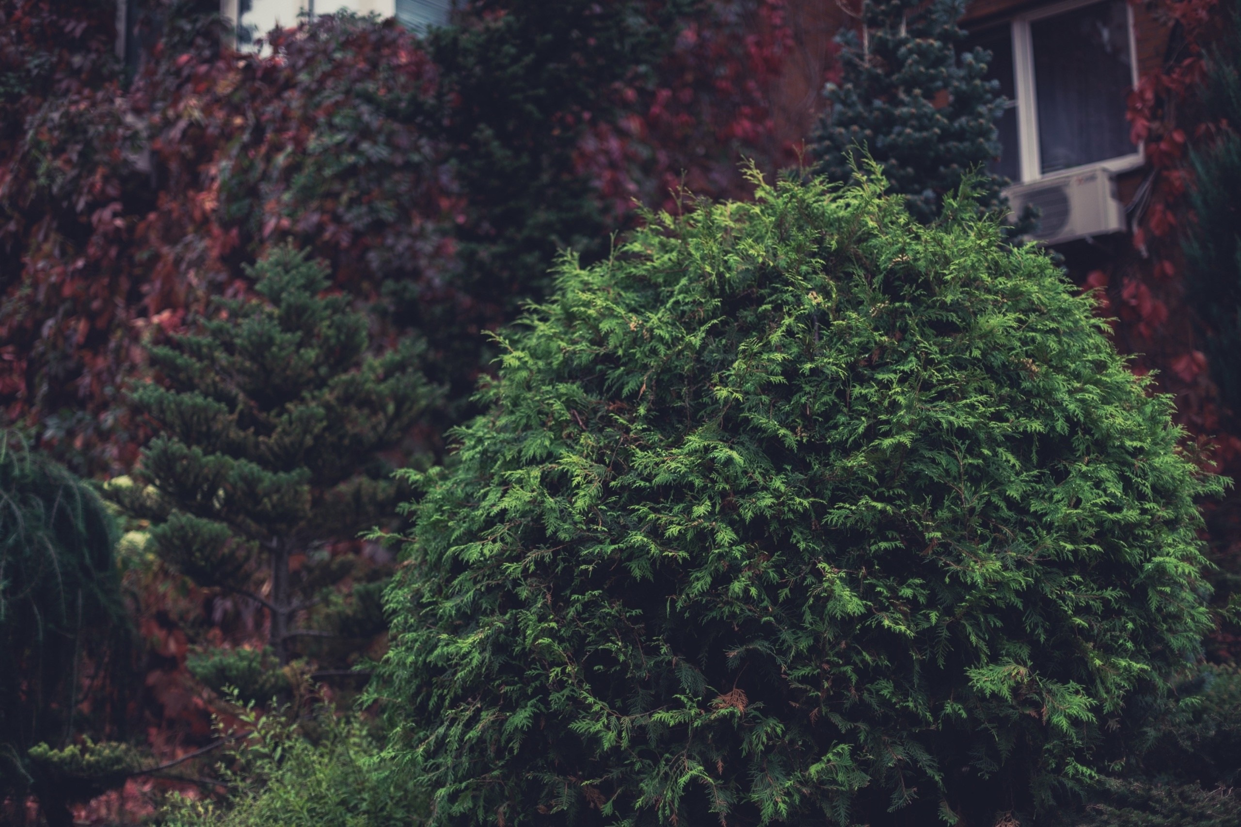 Стрит фотография. Фотограф и видеограф Лашманов Павел