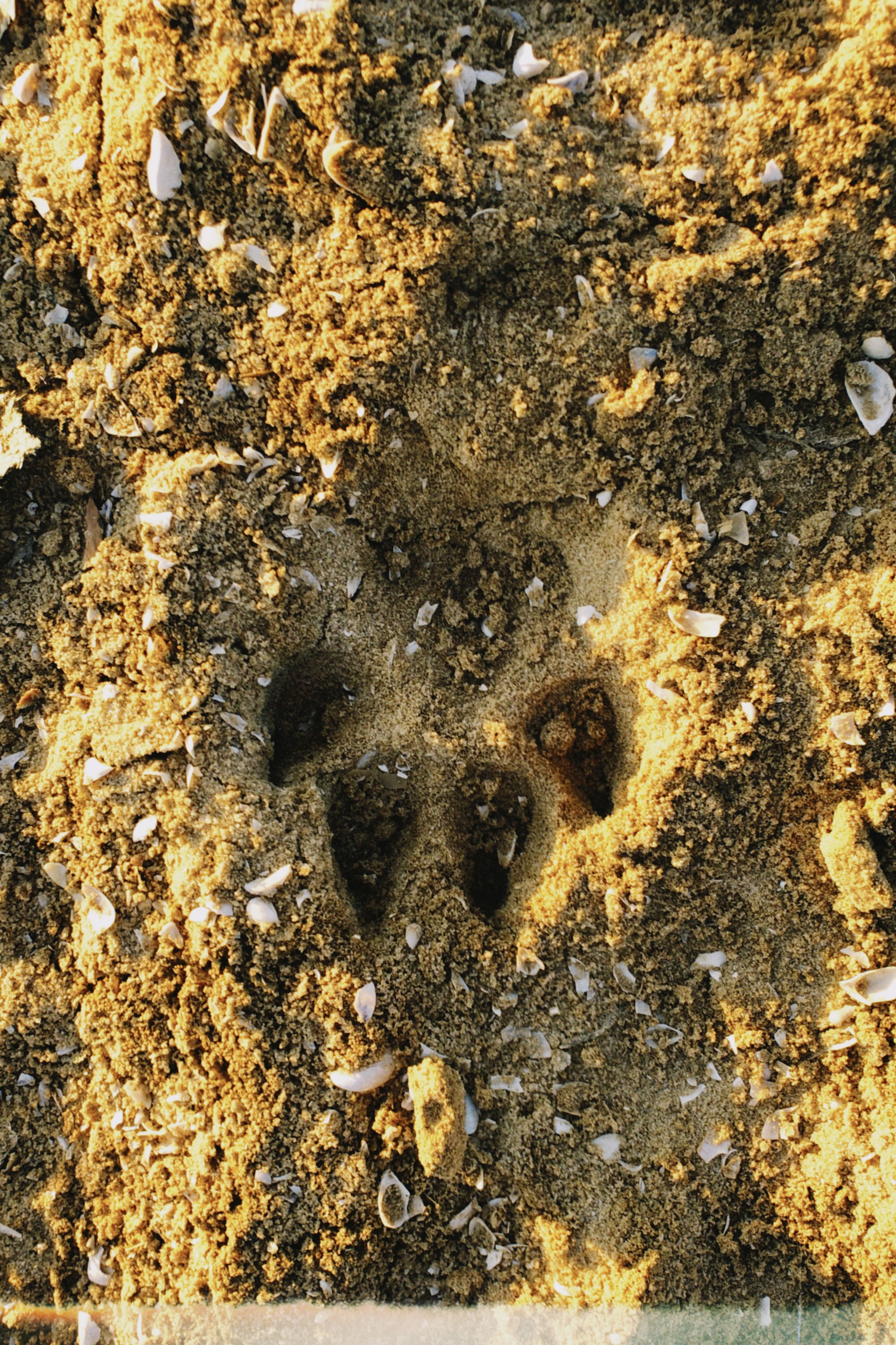 Визуальный дневник. Портретный фотограф в Москве Гахраманова Екатерина