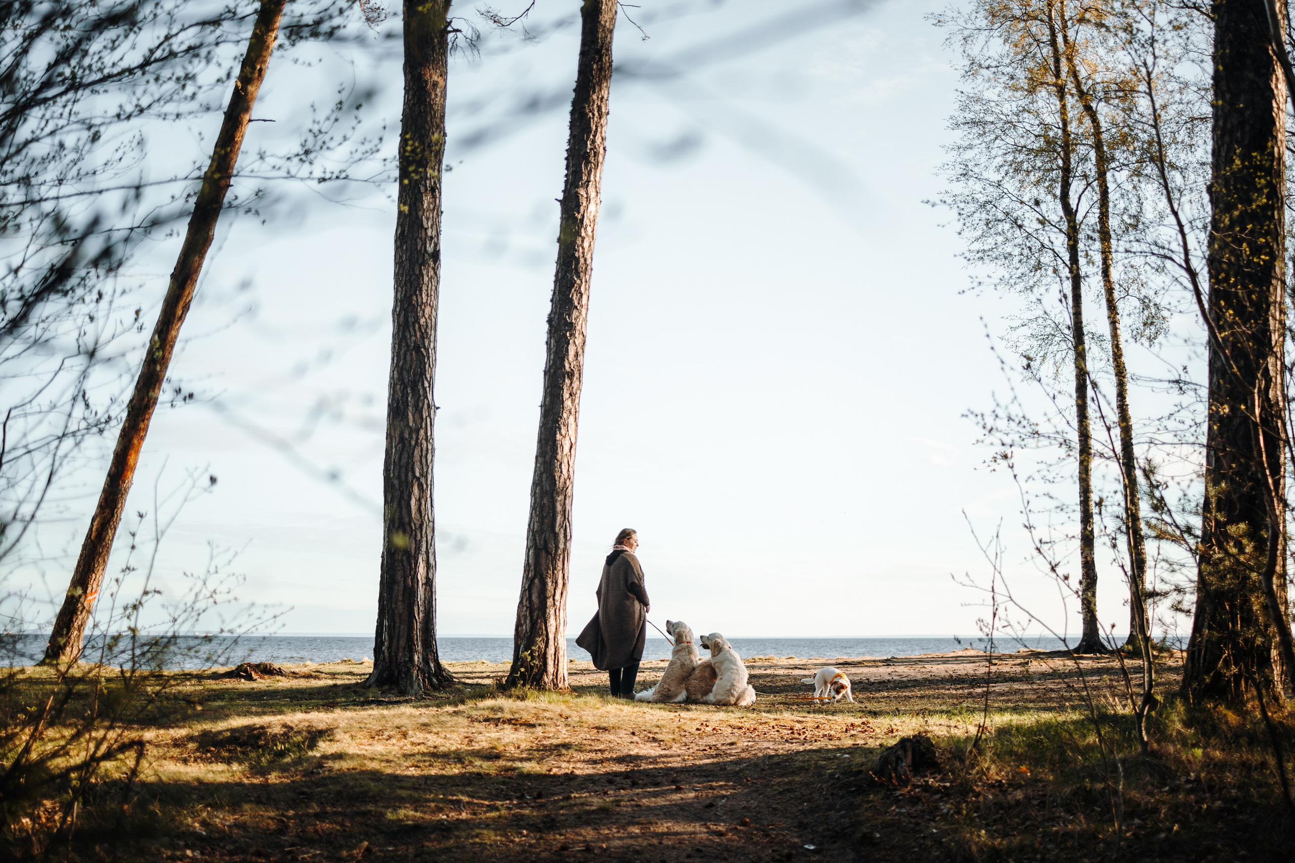 Катя и ее девочки. Фотограф — Анималист | Санкт-Петербург