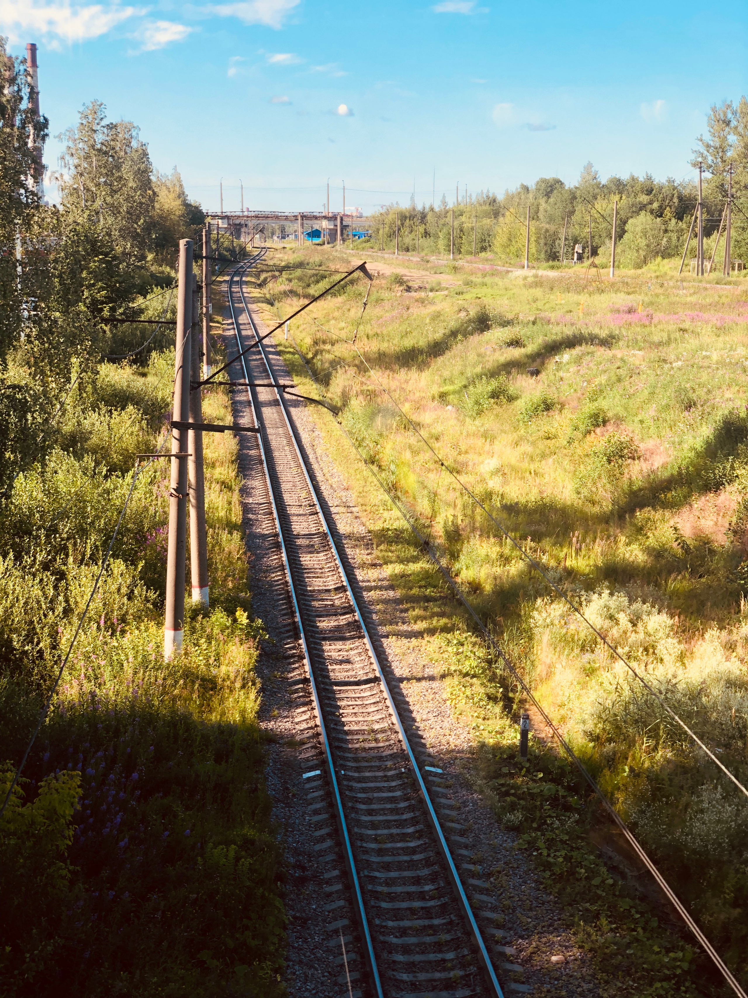 Июль. Семейный, Свадебный фотограф СПБ Питер— Романова Екатерина