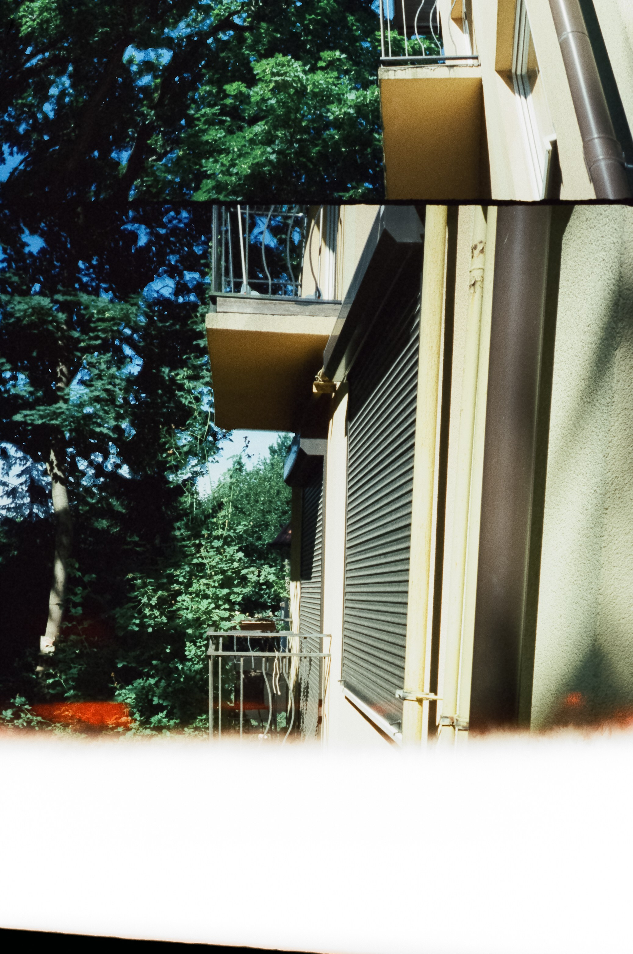 Прогулка по улочкам и дворикам Зеленорадска. Фотограф-документалист Мария Осокина