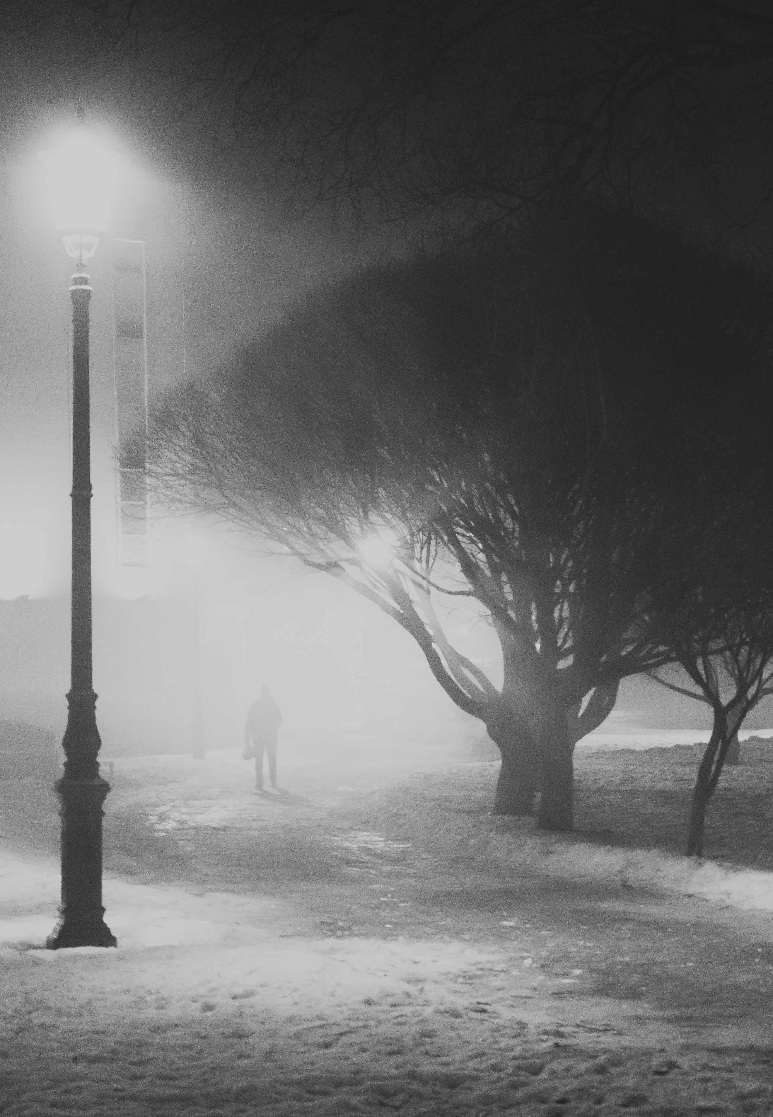 Парк Малиновка. Одинокий прохожий в густом тумане под уличным фонарём, чёрно-белый зимний пейзаж парка Санкт-Петербурга, уличная фотография, фотограф Евгений Мальцев Ev Rednix.