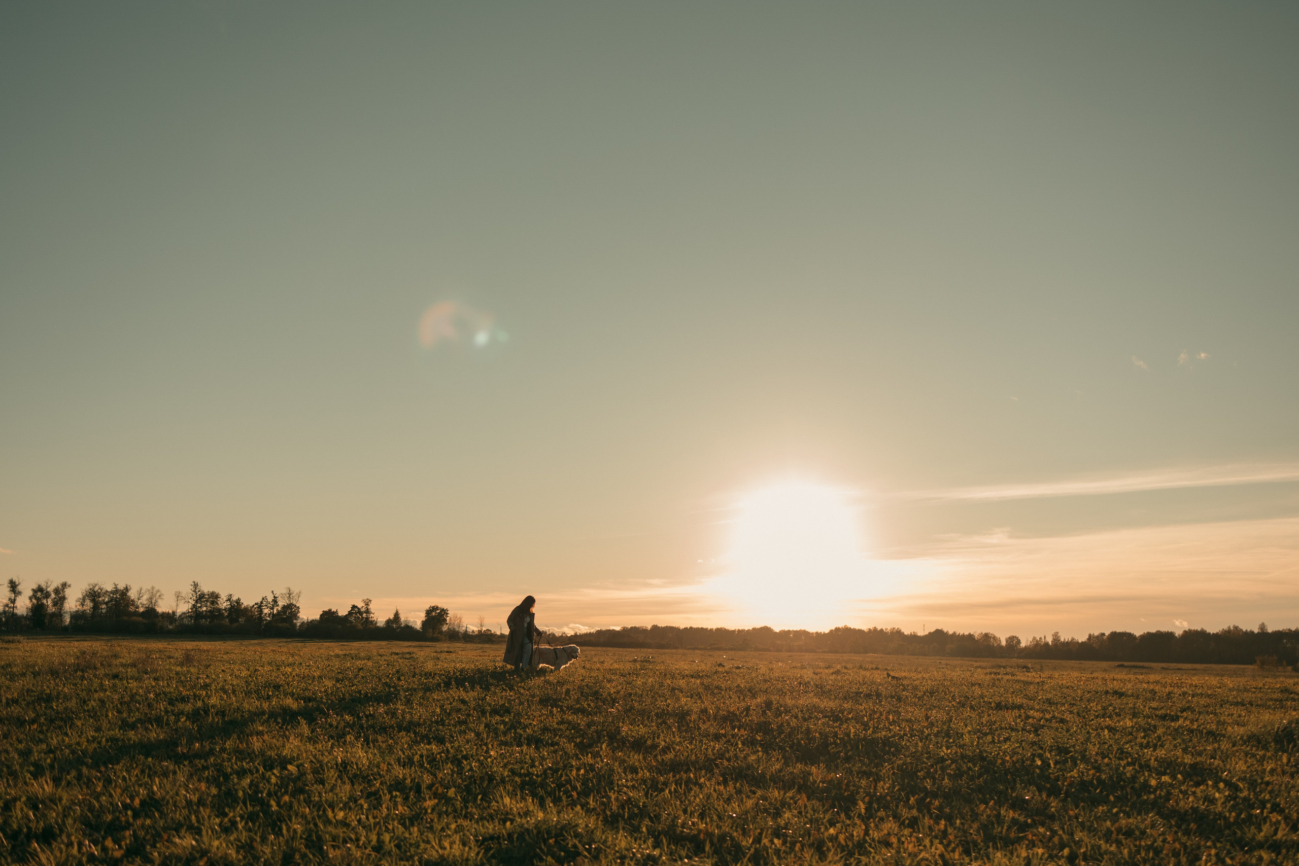 Лера и Скай. Фотограф — Анималист | Санкт-Петербург