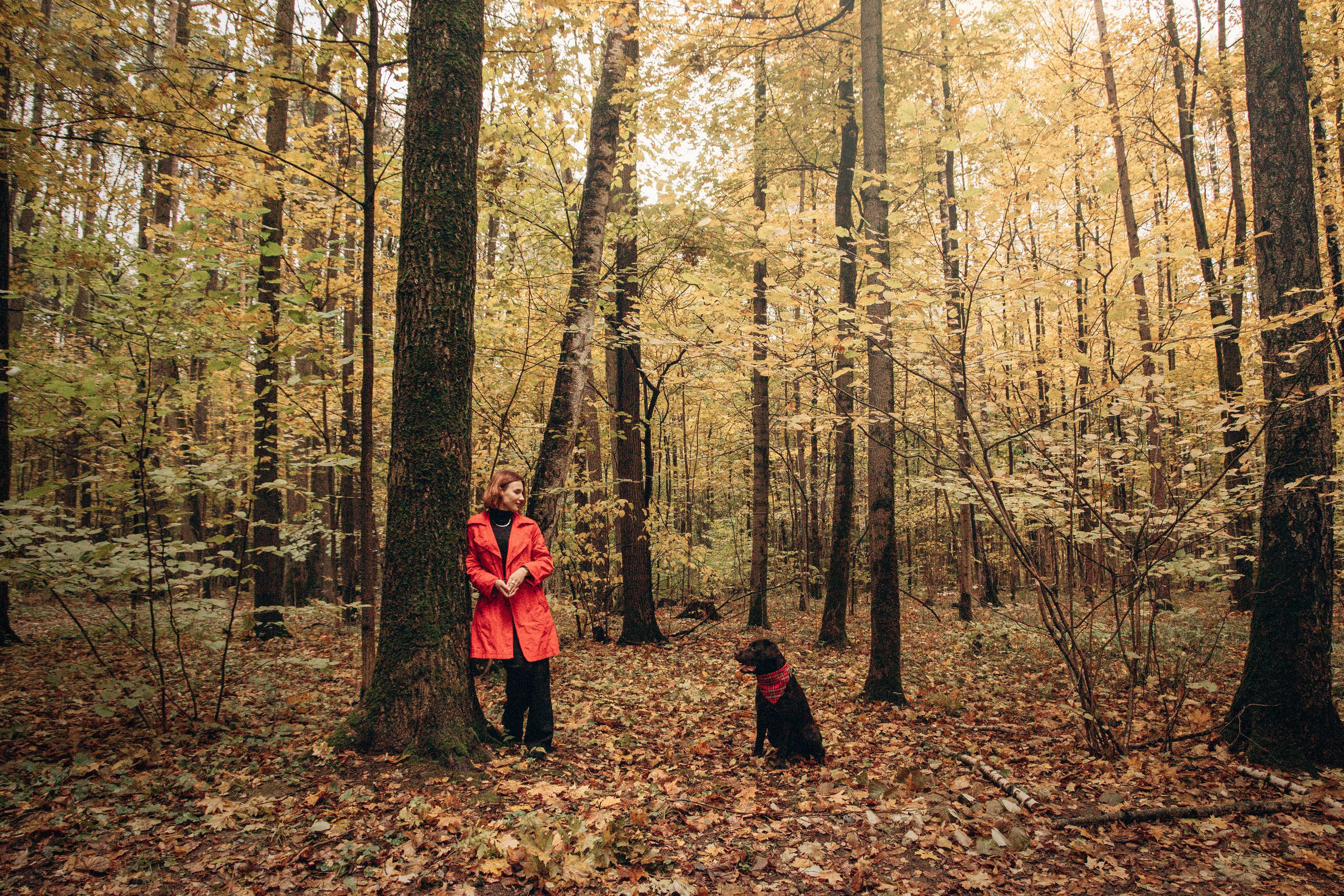Арина и Сэмми. Фотограф — Анималист | Санкт-Петербург