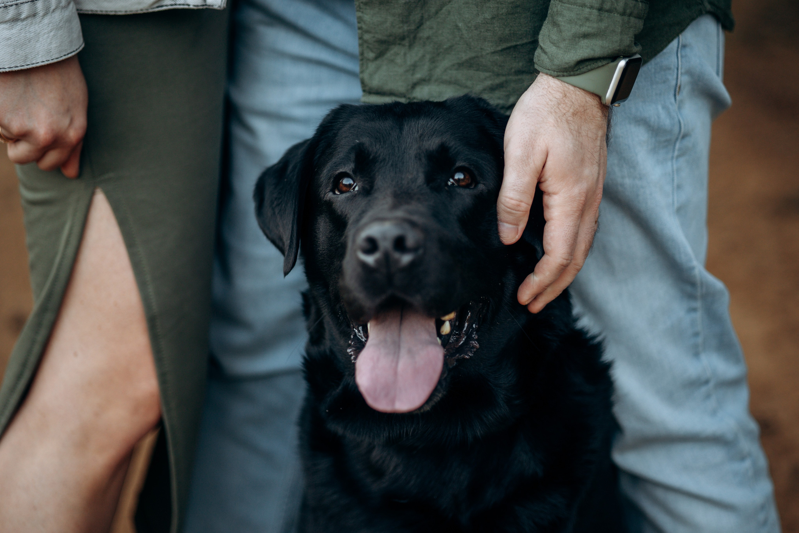 Бомбей и его семья. Фотограф — Анималист | Санкт-Петербург