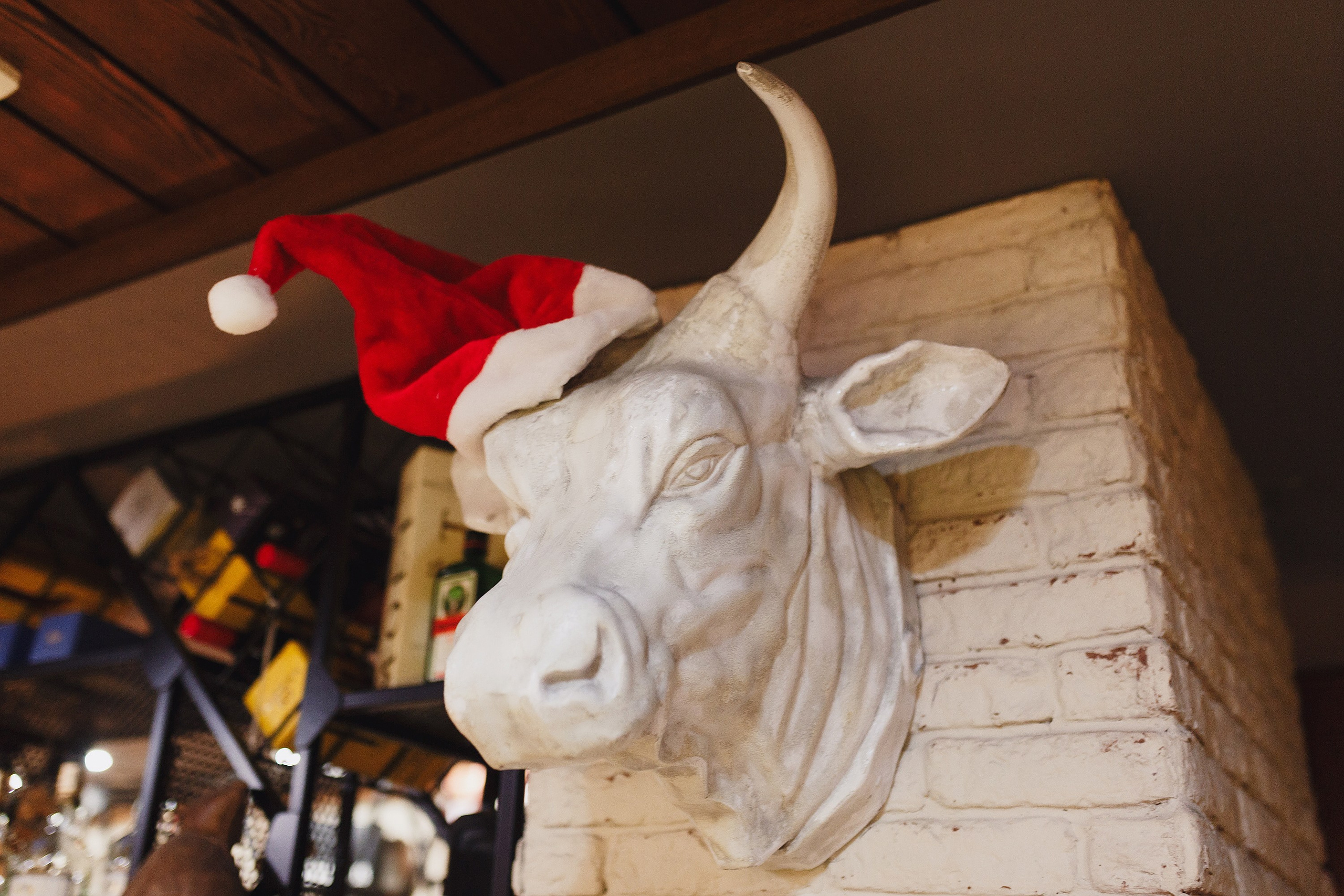 ИНТЕРЬЕР. Roman Photo