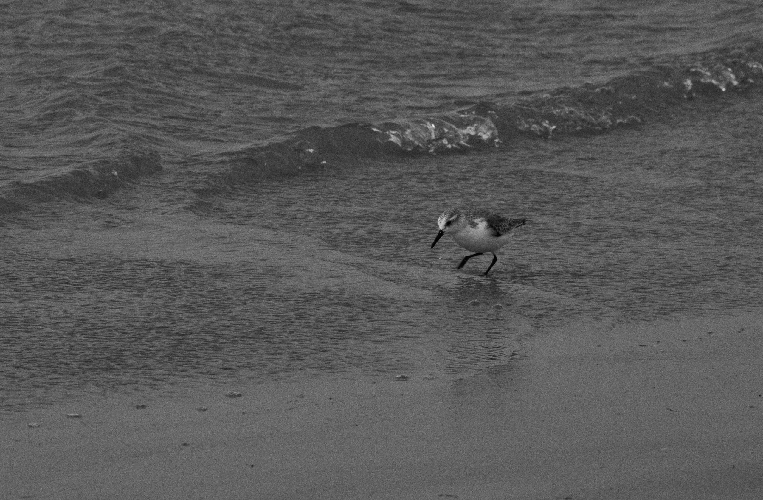 Morocco-Gambia. See the moment and catche. commercial and reportage