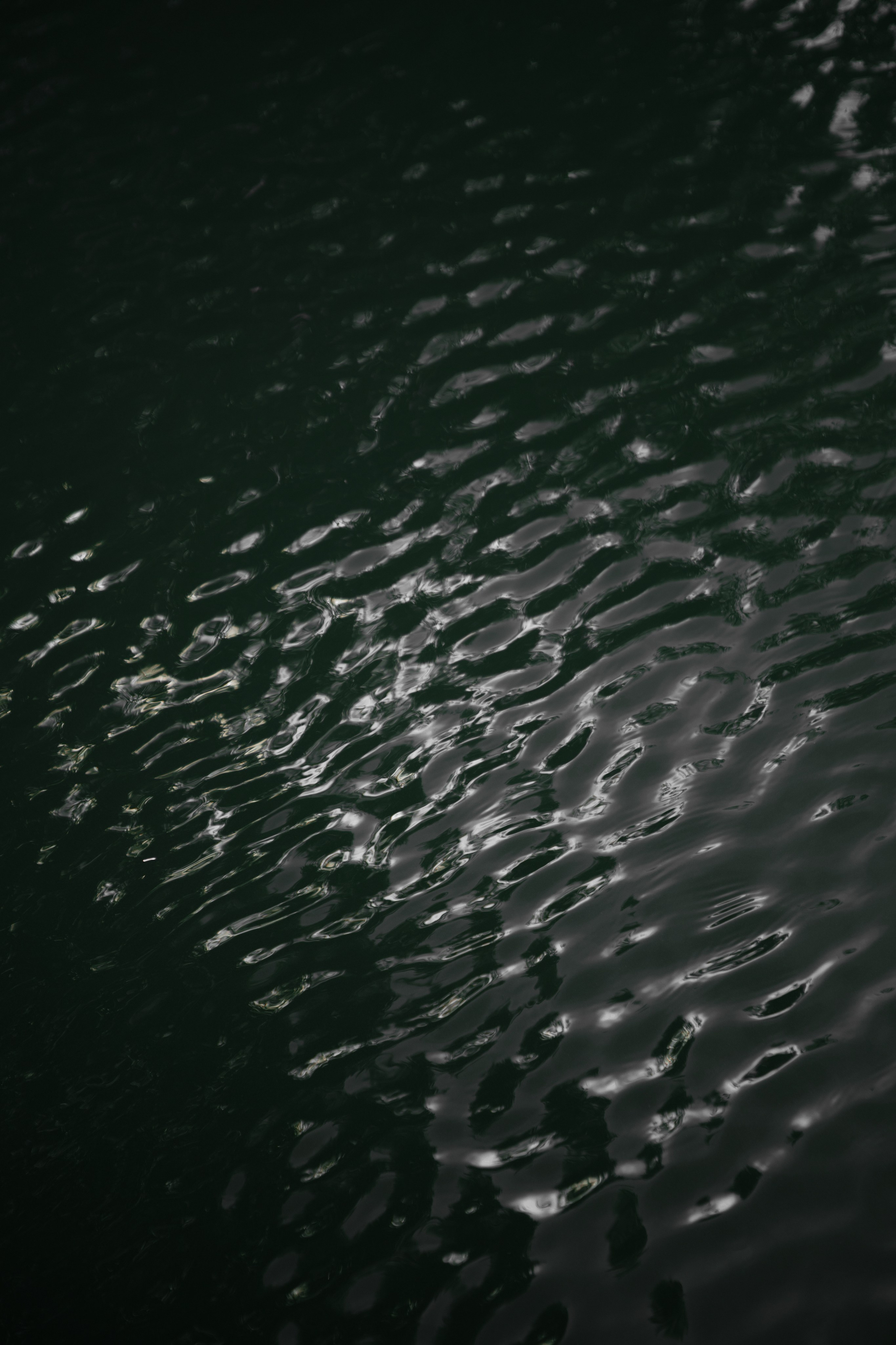 Свадьба Александра и Полины. Фотограф Кольчугино/Владимир/Москва Елизавета Иода