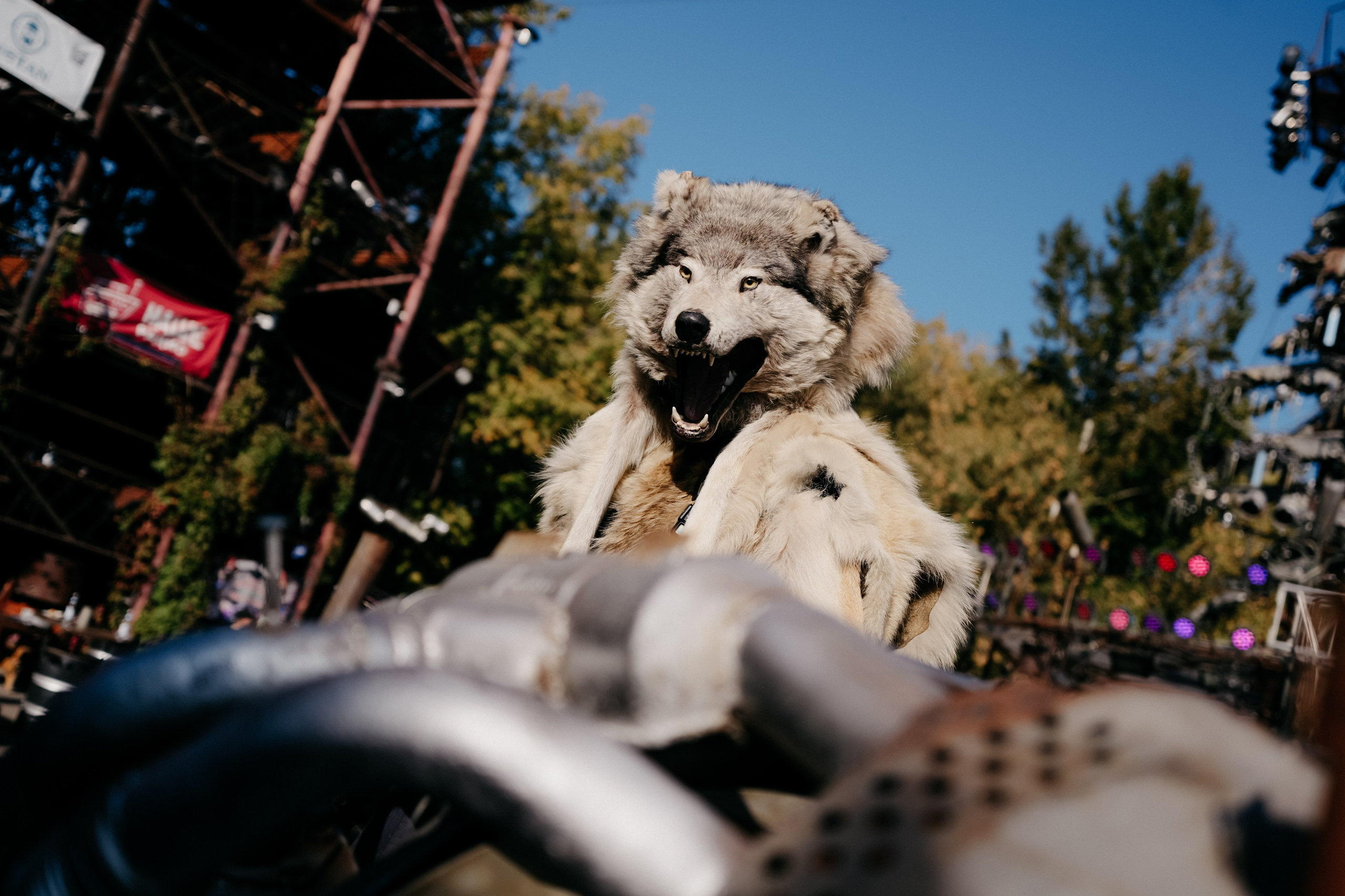 Ночные волки. Фотограф в Москве Дмитрий Рогов