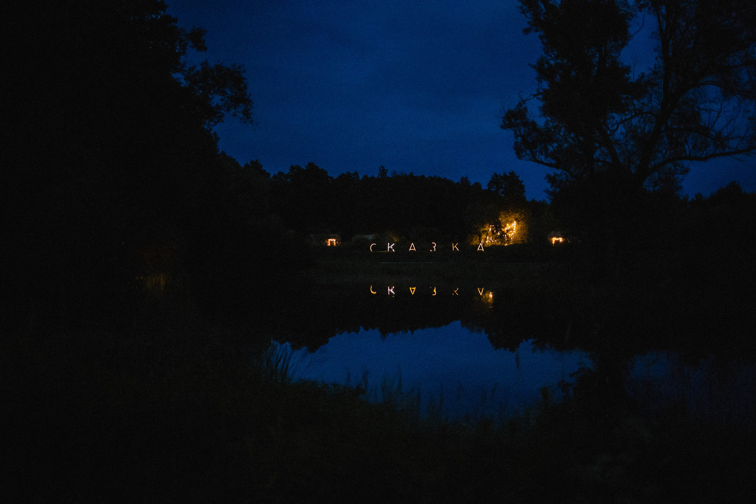 Выездной дог-тренинг от школы «Шерсть имею»