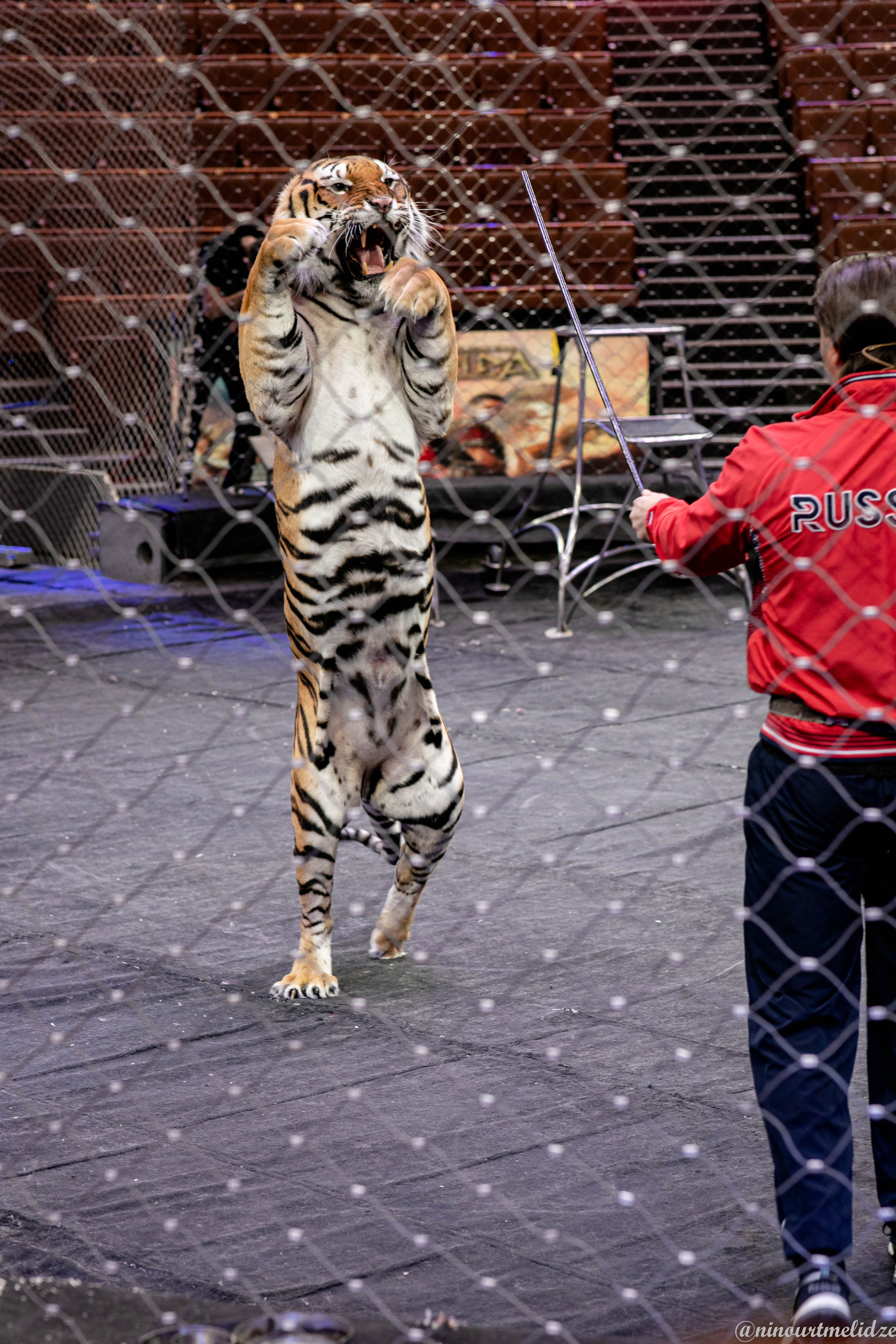 В закулисье у братьев Запашных. Art photographer Nino