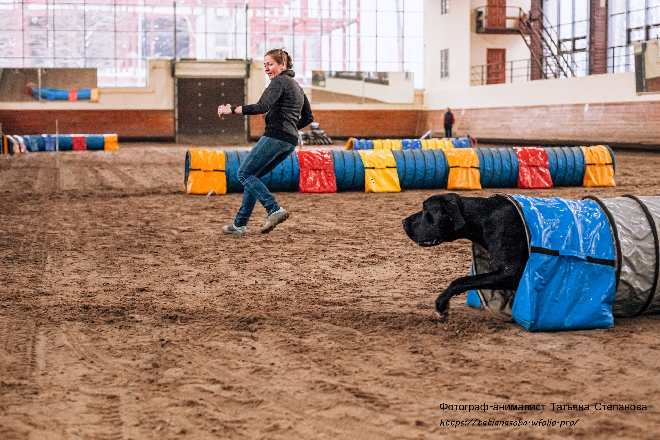Соревнования по Аджилити 25.02.2024. Фотограф-анималист Татьяна Степанова