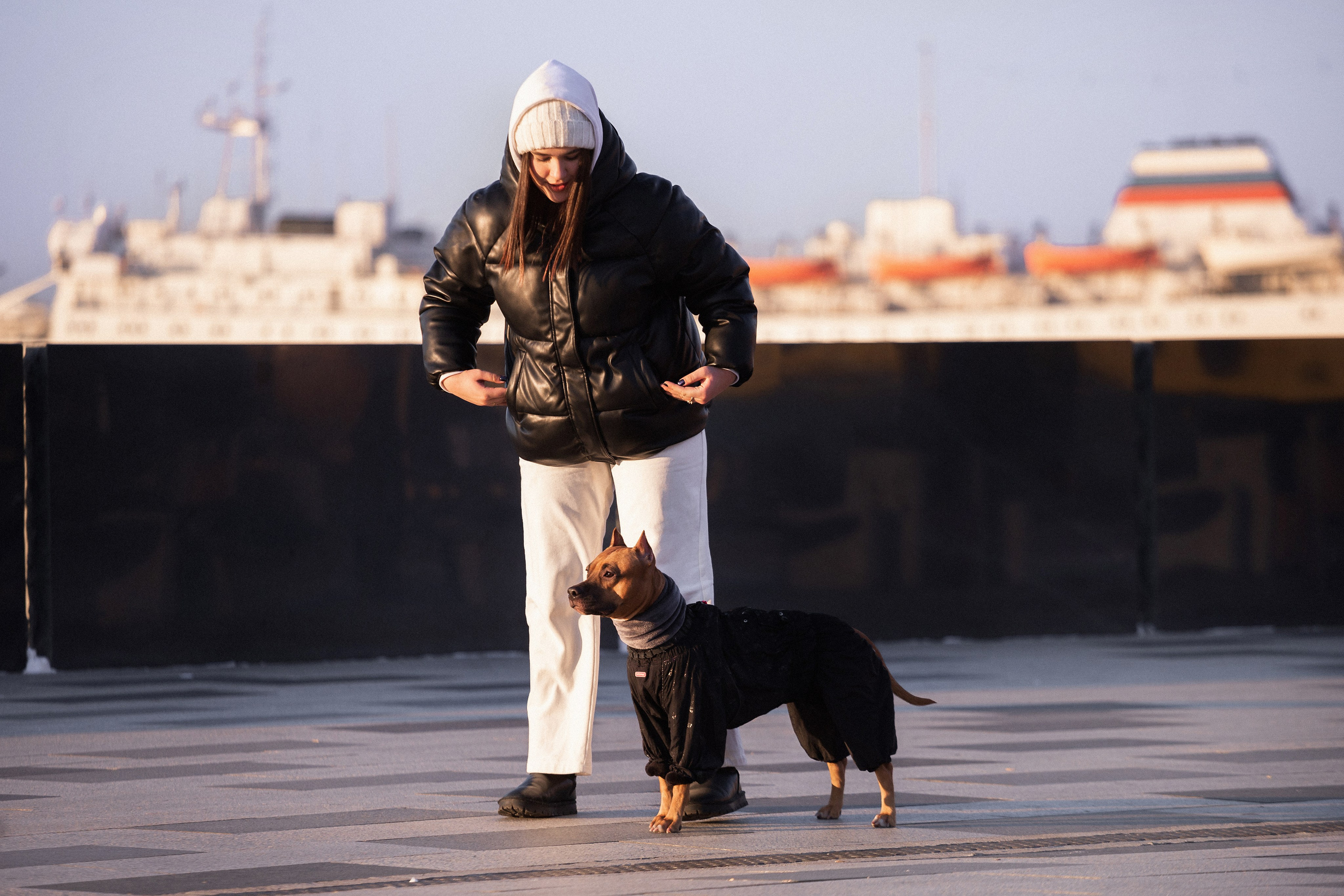 Арина и Стэфи. Фотограф — анималист Владивосток, Алина