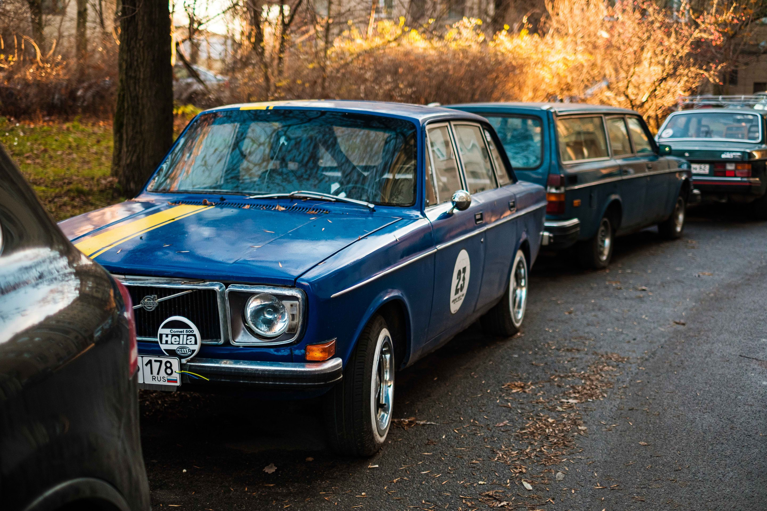 2021.11. Фотограф Алексей Алексеев