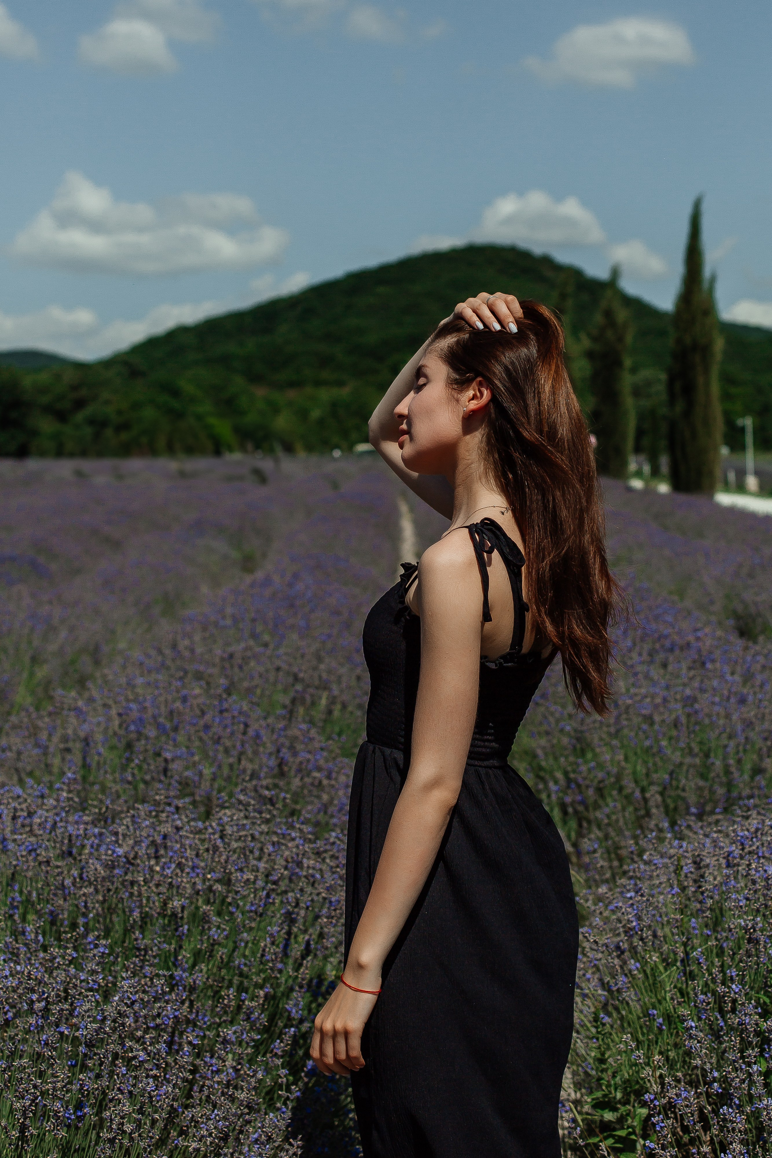 Лавандовые поля