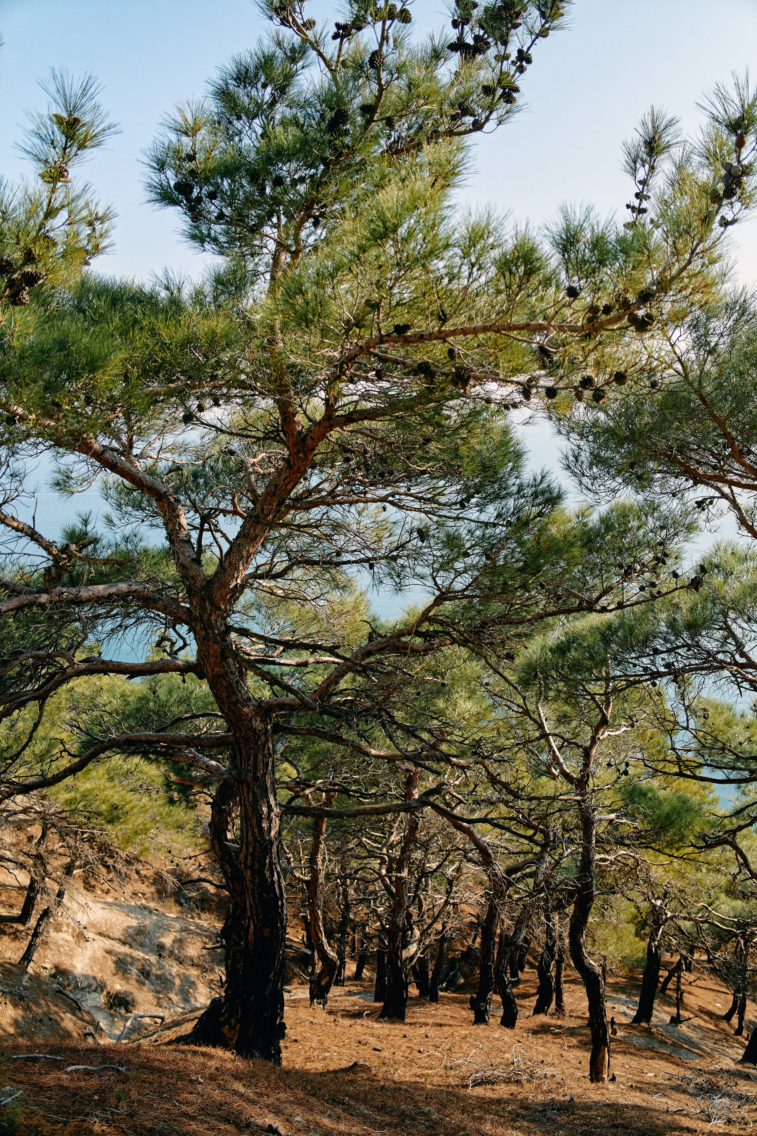 Юг России. Профессиональный Фотограф во Владимире, в Москве и в Суздале — Полина Романычева
