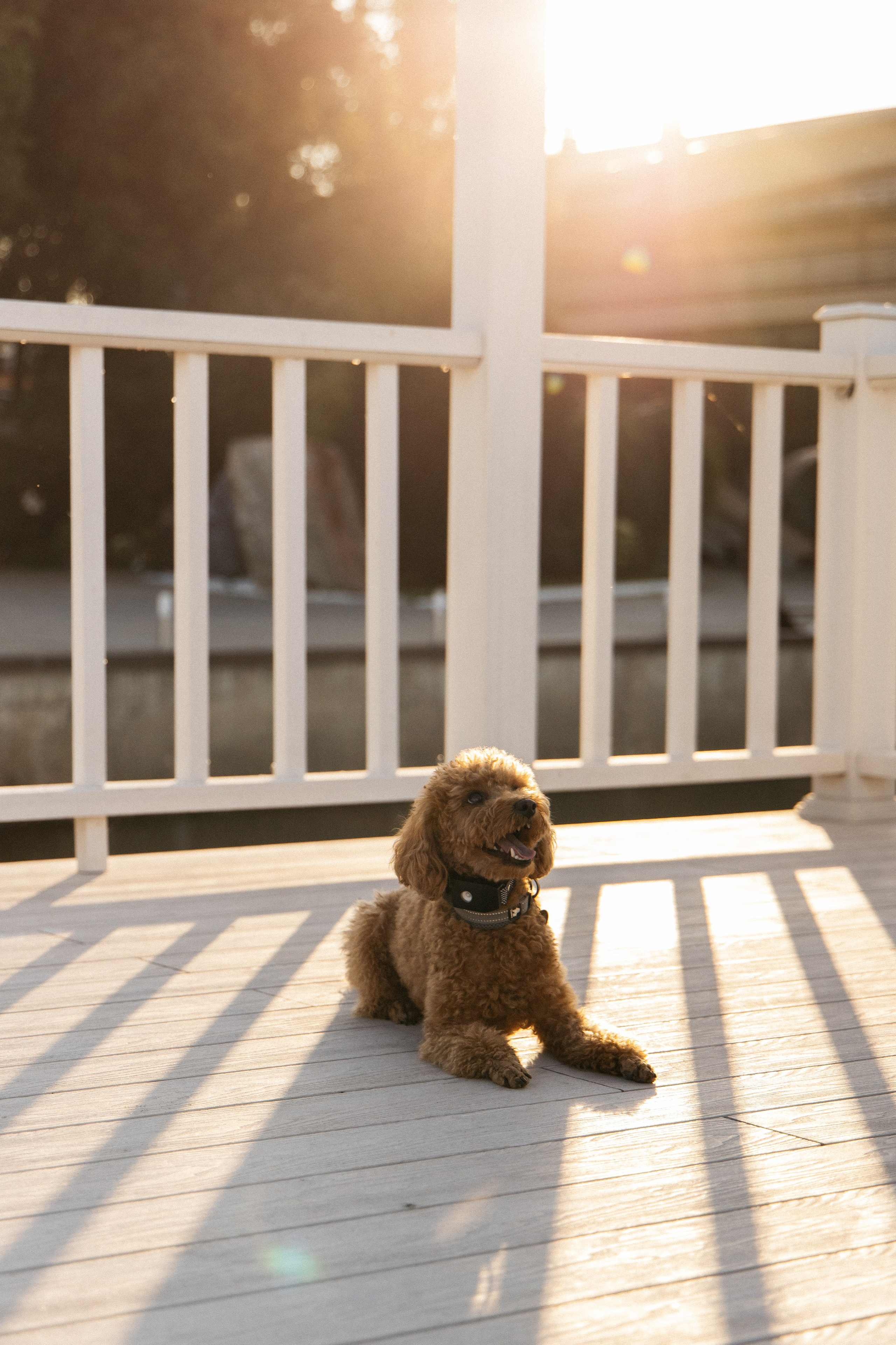 Константин и Анастасия. Свадебный фотограф Челябинск Зиненко Виктория