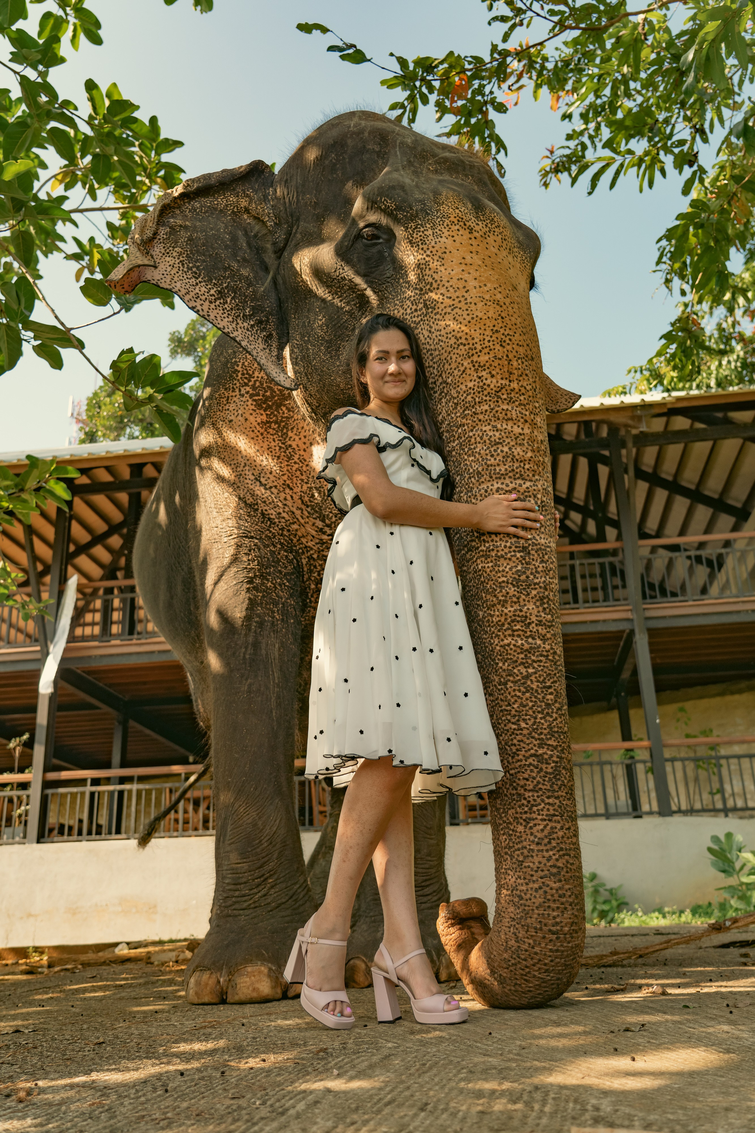 Promo content shooting for Ceylon Forward Tours