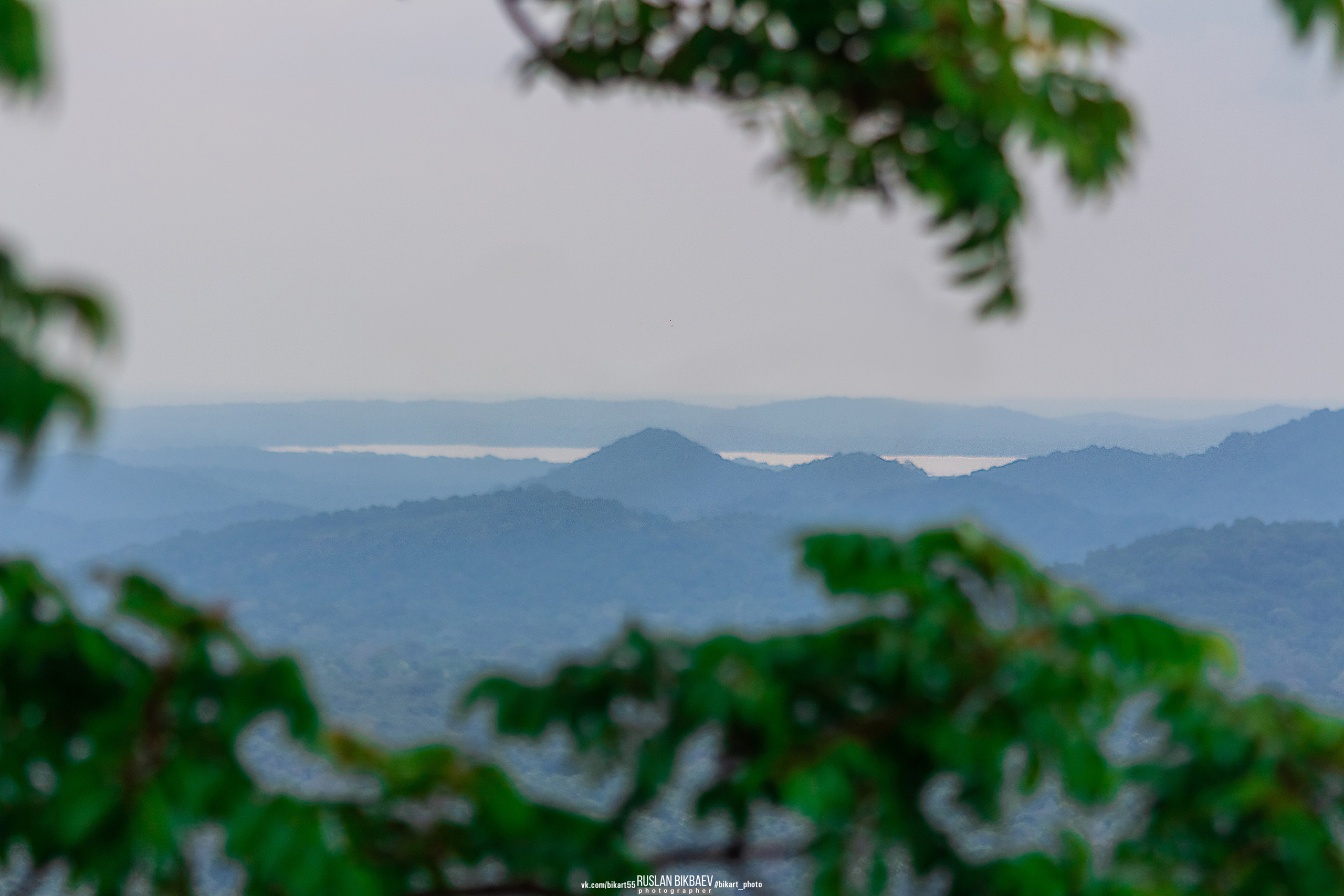 ШРИ-ЛАНКА 2025 / SRI LANKA 2025. Главная